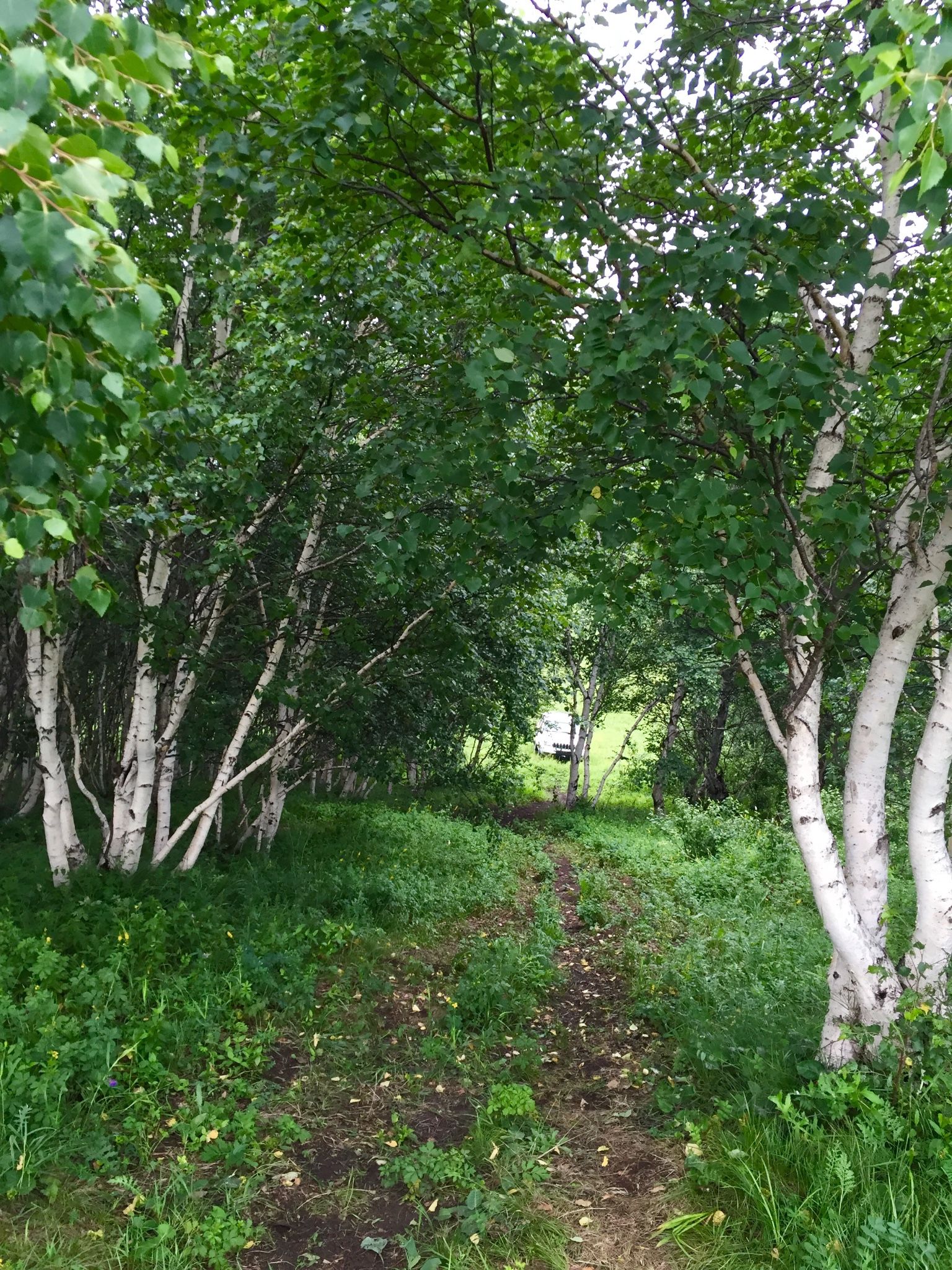 老掌東溝，美到詞窮