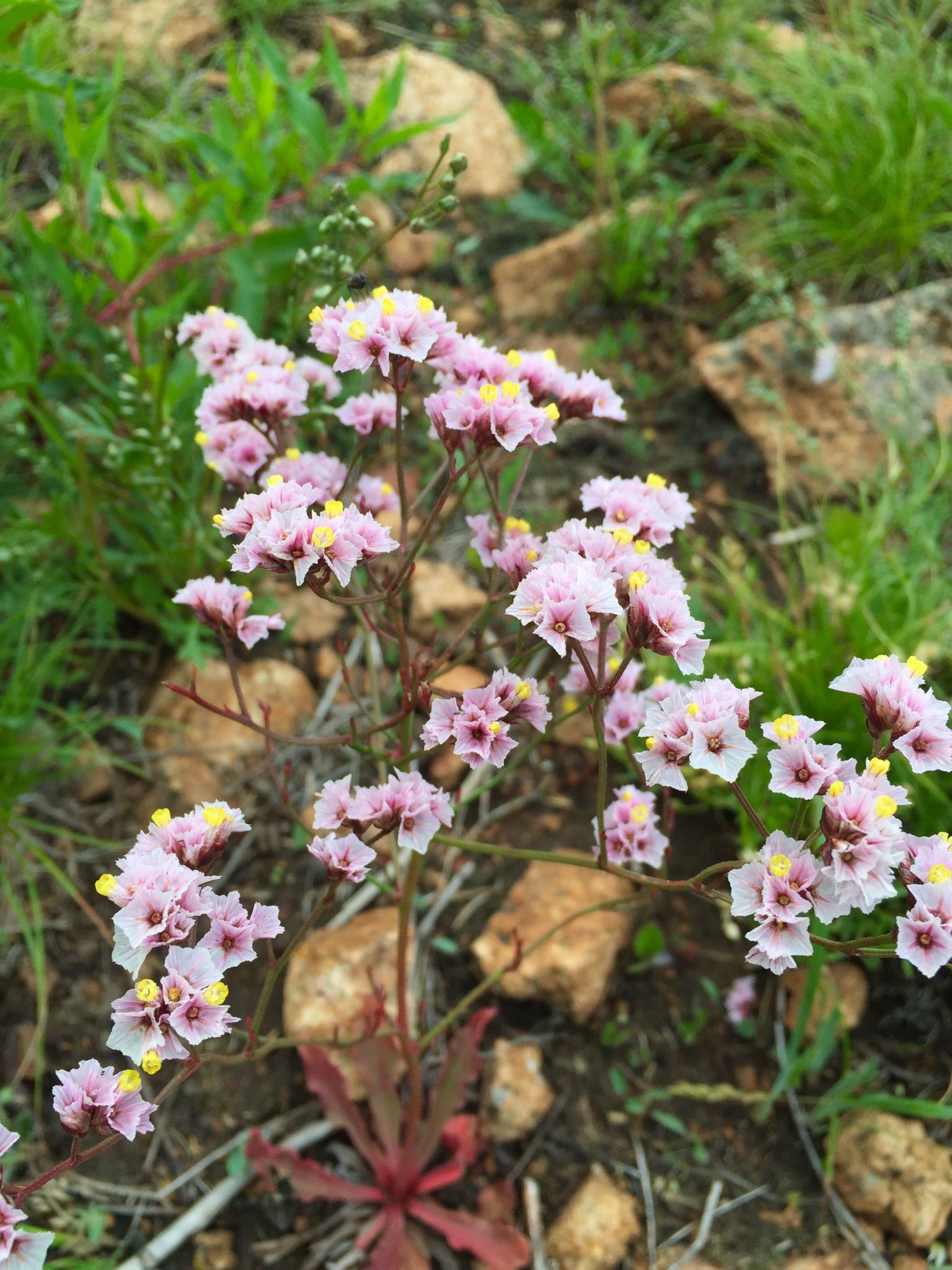 老掌東溝，美到詞窮