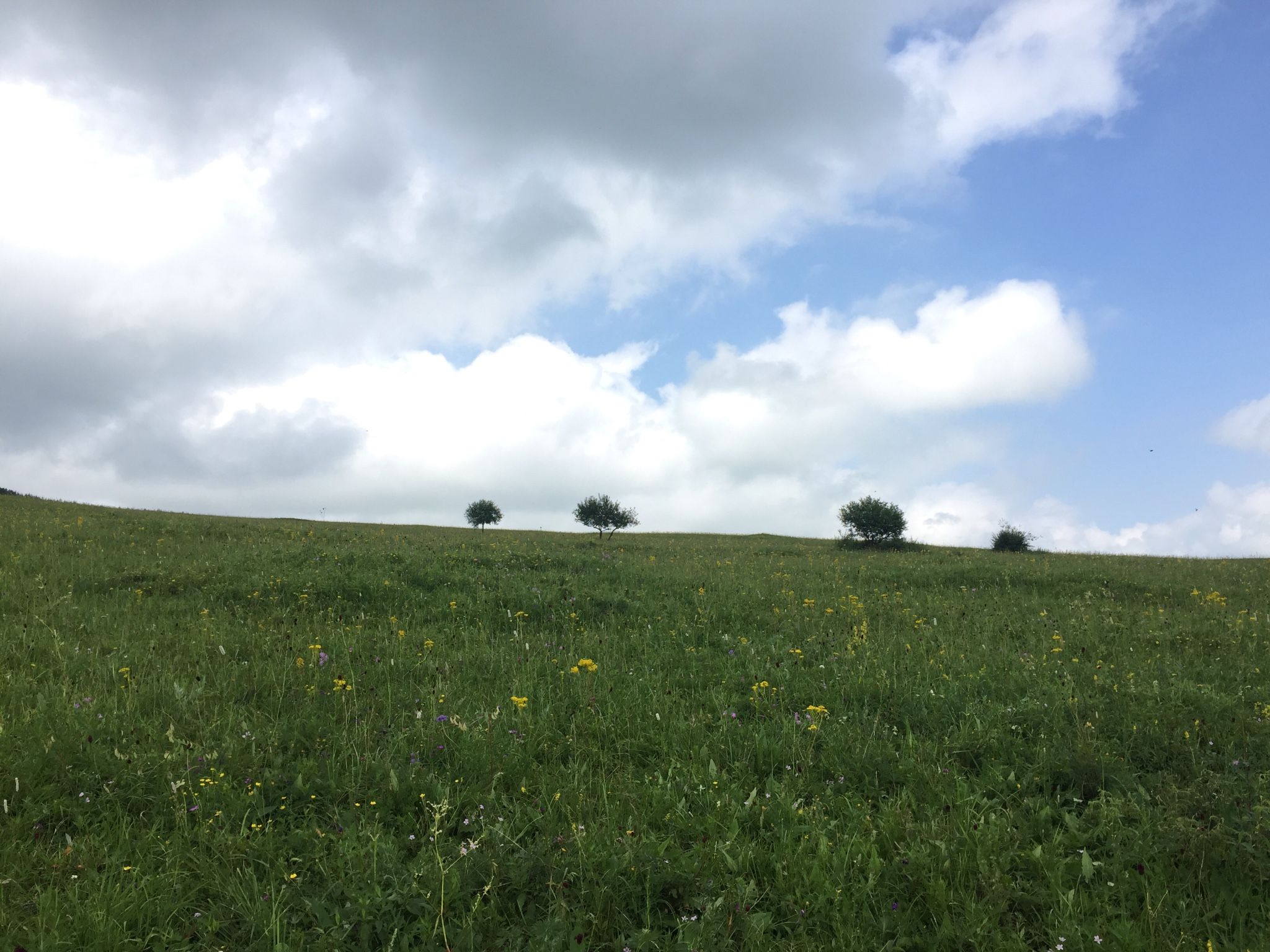 老掌東溝，美到詞窮
