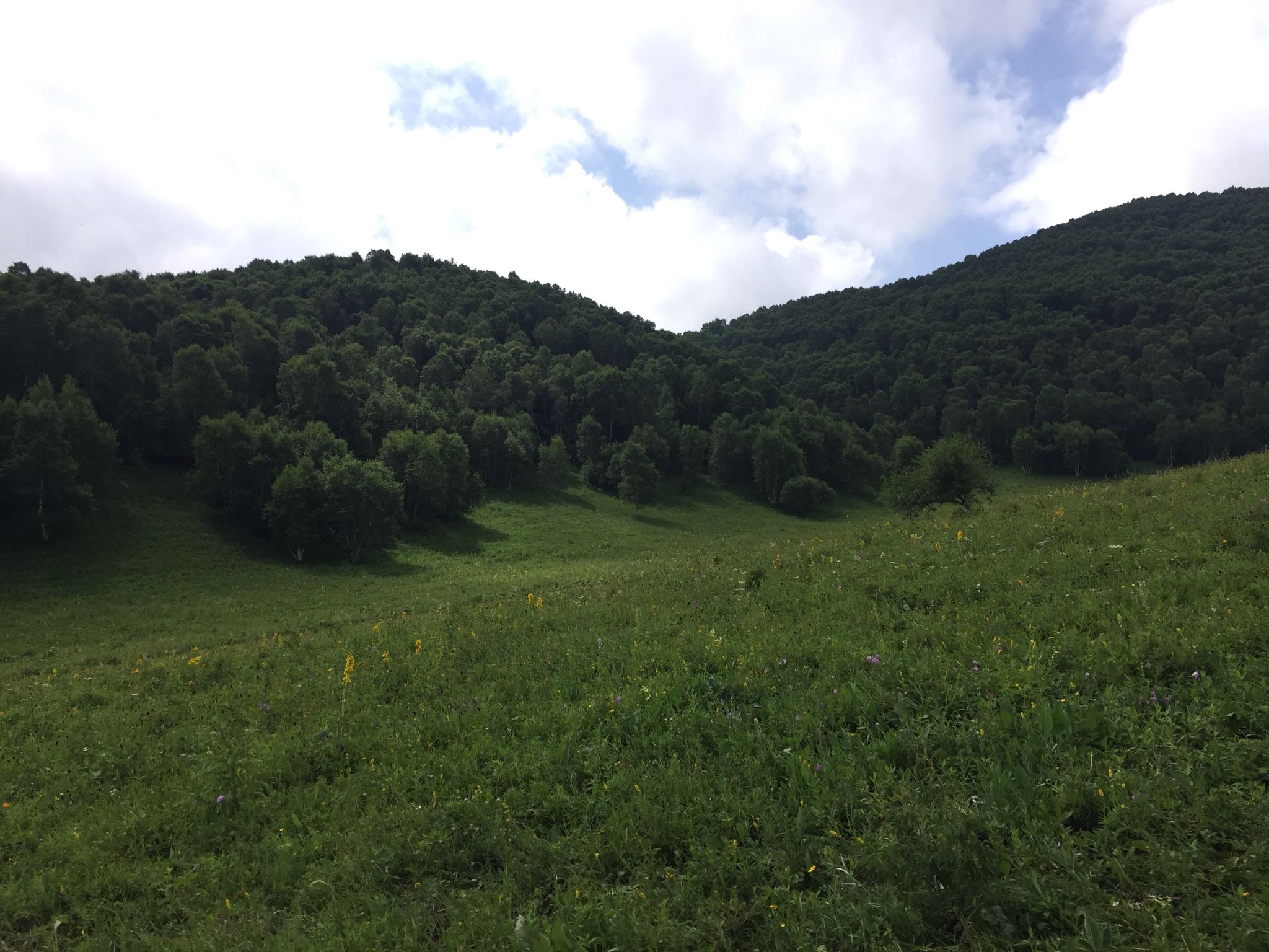 老掌東溝，美到詞窮