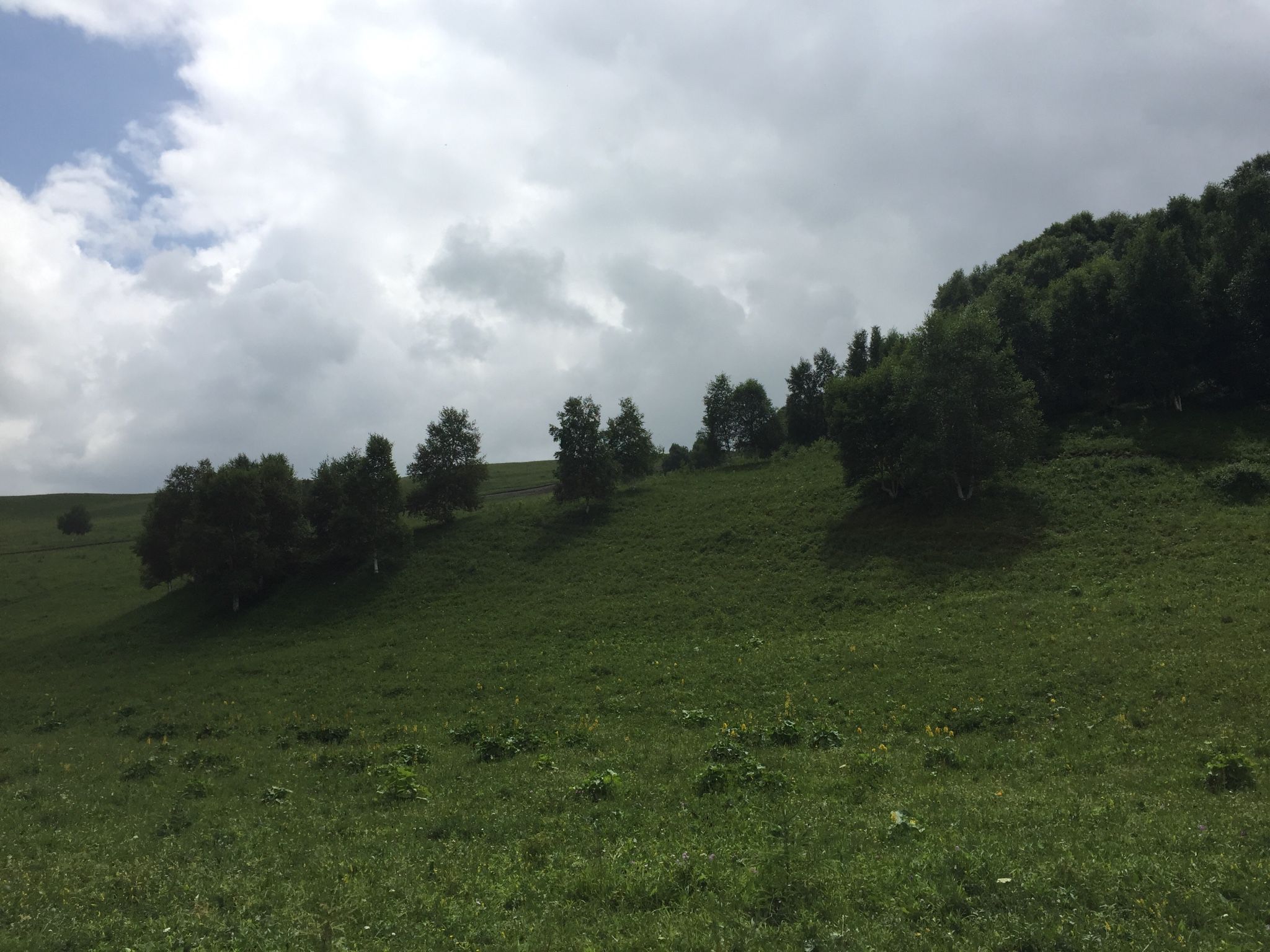 老掌東溝，美到詞窮