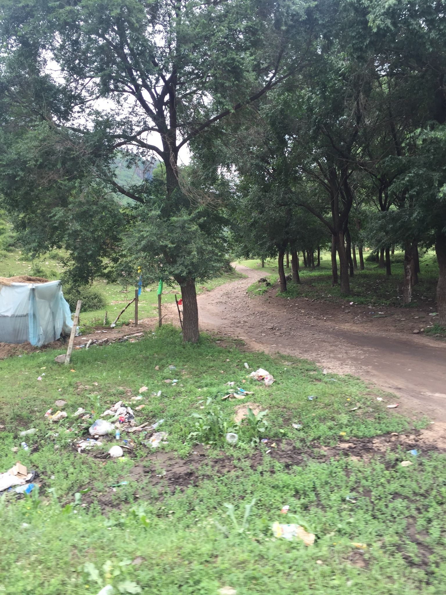 老掌東溝，美到詞窮