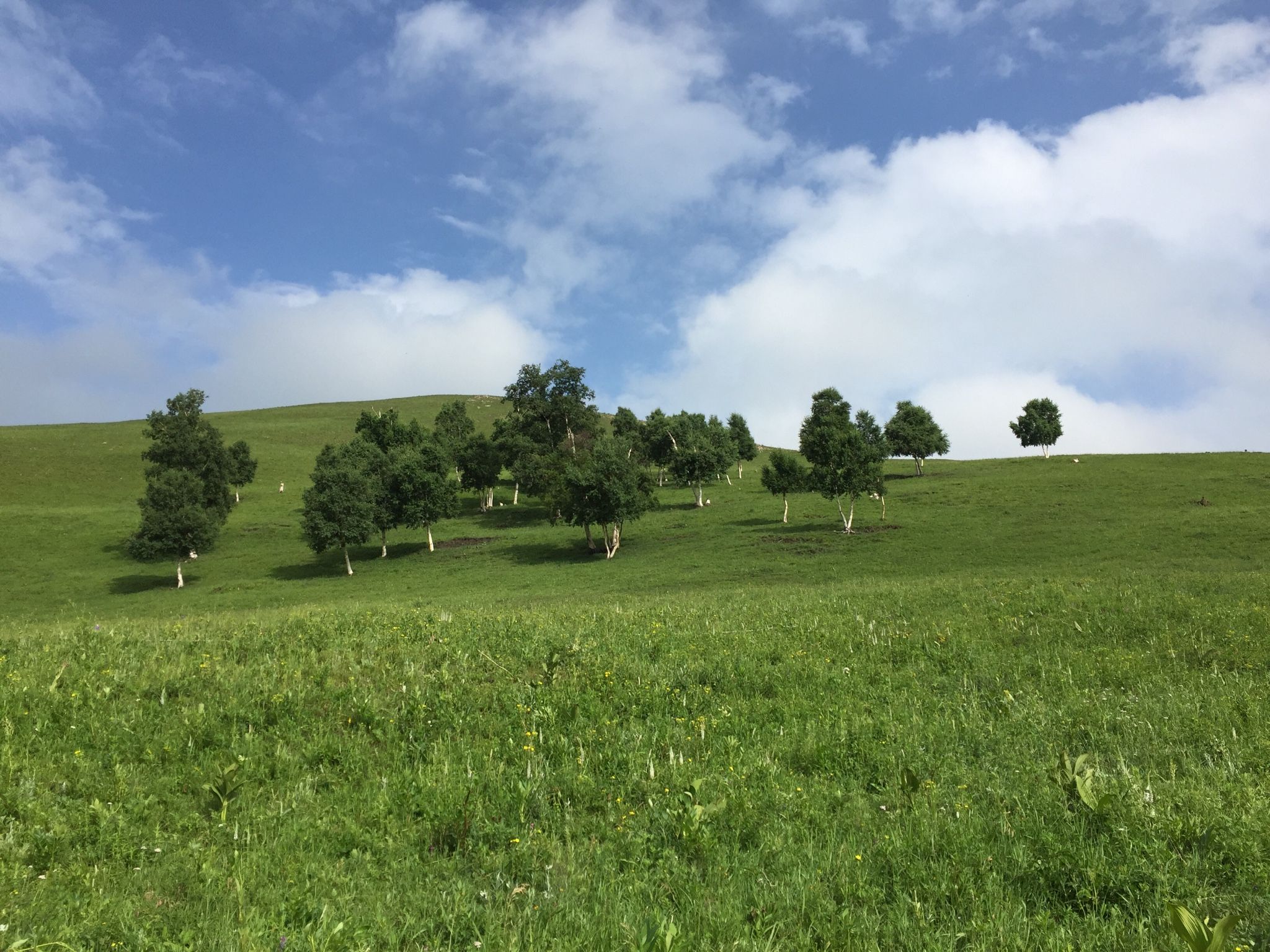 老掌東溝，美到詞窮