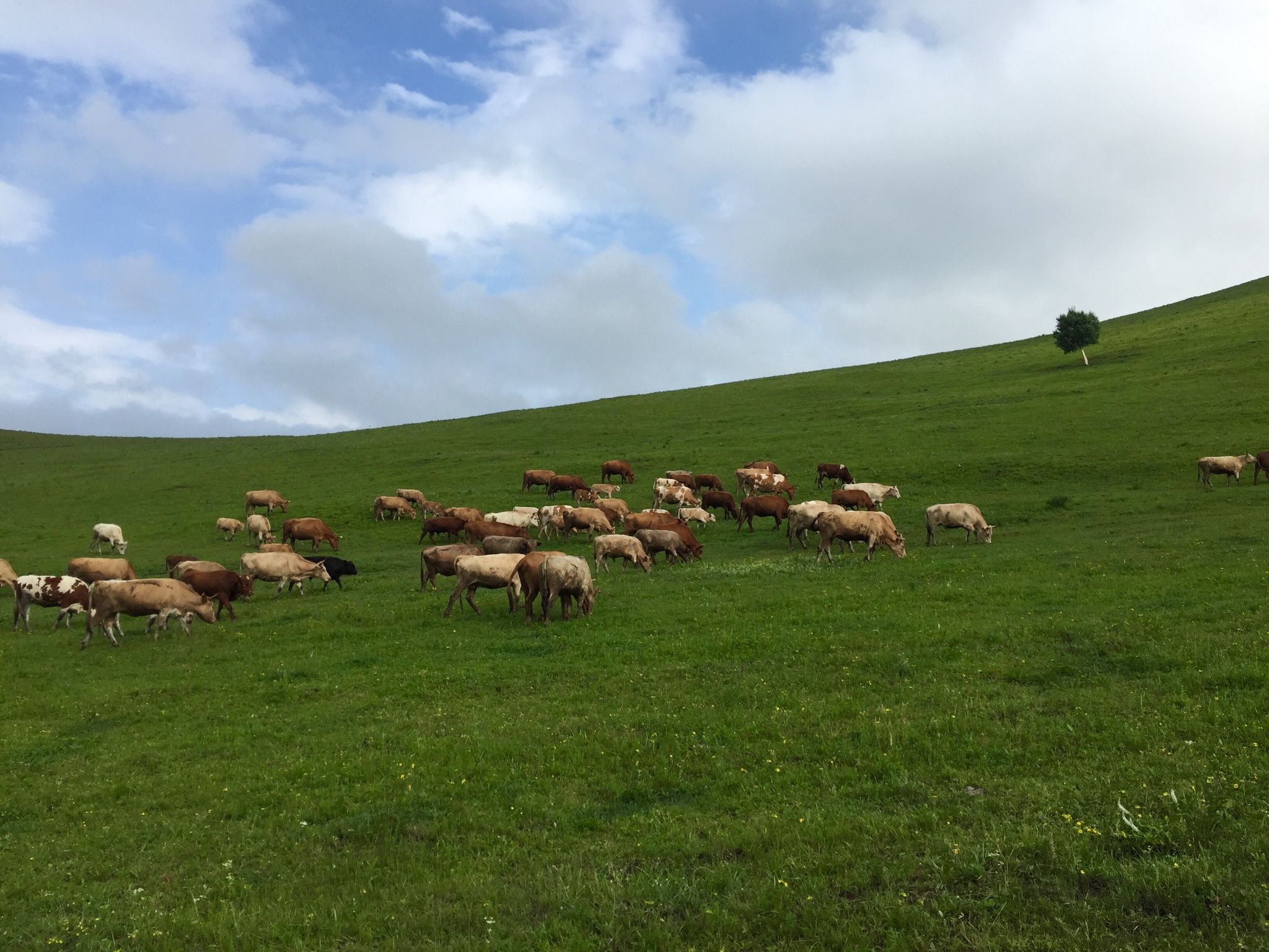 老掌東溝，美到詞窮