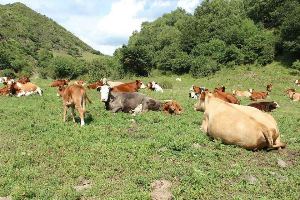 開牧馬人單車穿越老掌溝，翻越好漢坡！