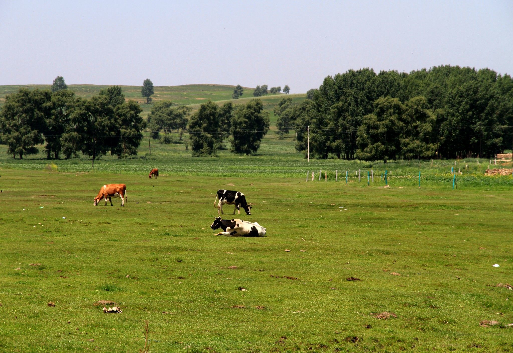 張北66號(hào)天路和美國(guó)的66號(hào)公路不同