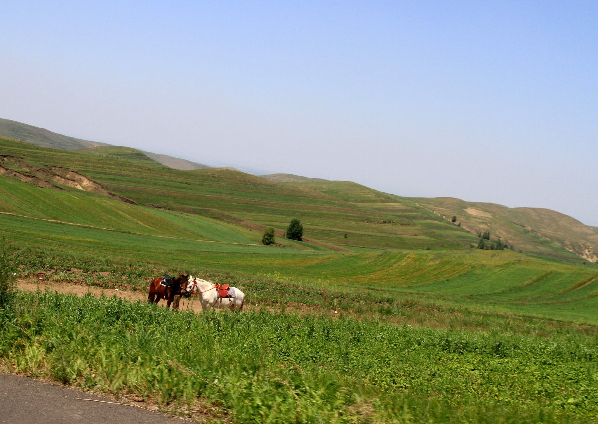 張北66號(hào)天路和美國(guó)的66號(hào)公路不同