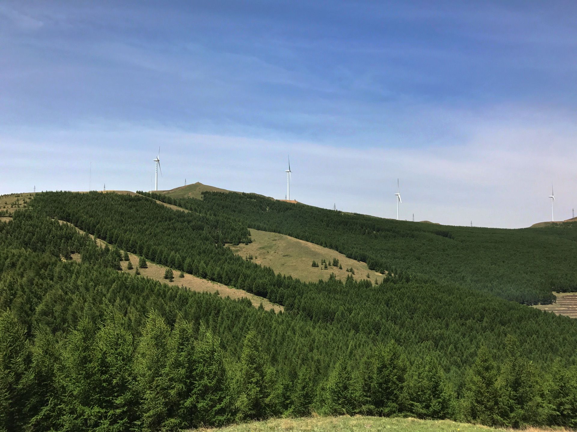 大風起兮云飛揚：端午張家口/草原天路自駕兩日游