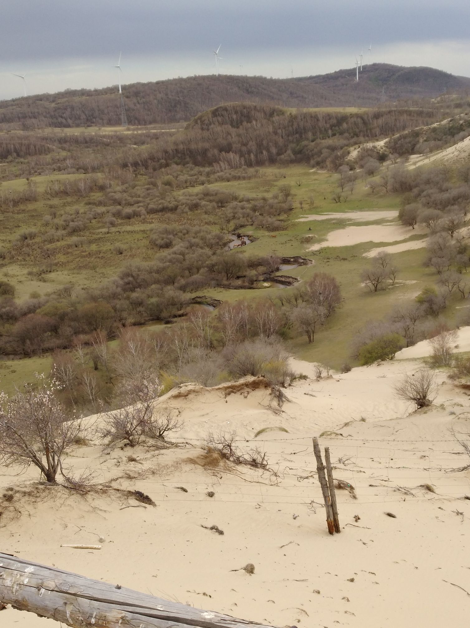 2017木蘭圍場(chǎng)美景不斷更新，手機(jī)拍攝。