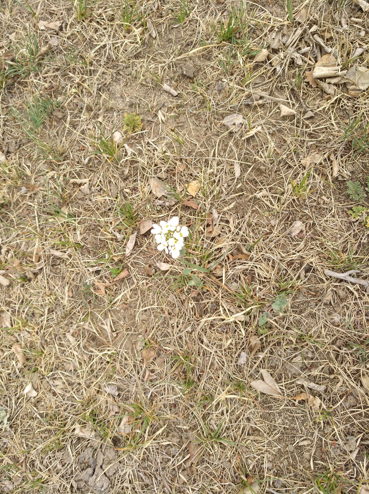 2017木蘭圍場美景不斷更新，手機拍攝。