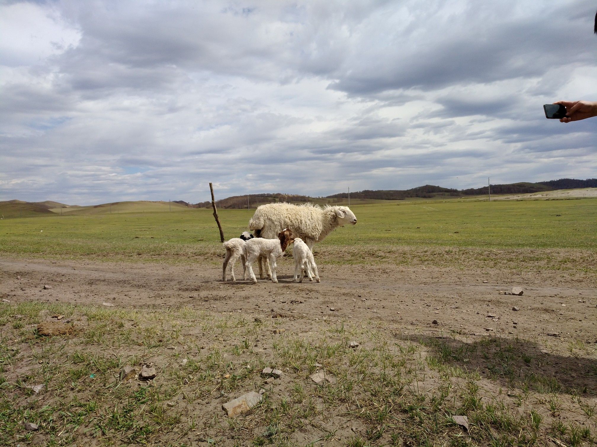 2017木蘭圍場美景不斷更新，手機拍攝。