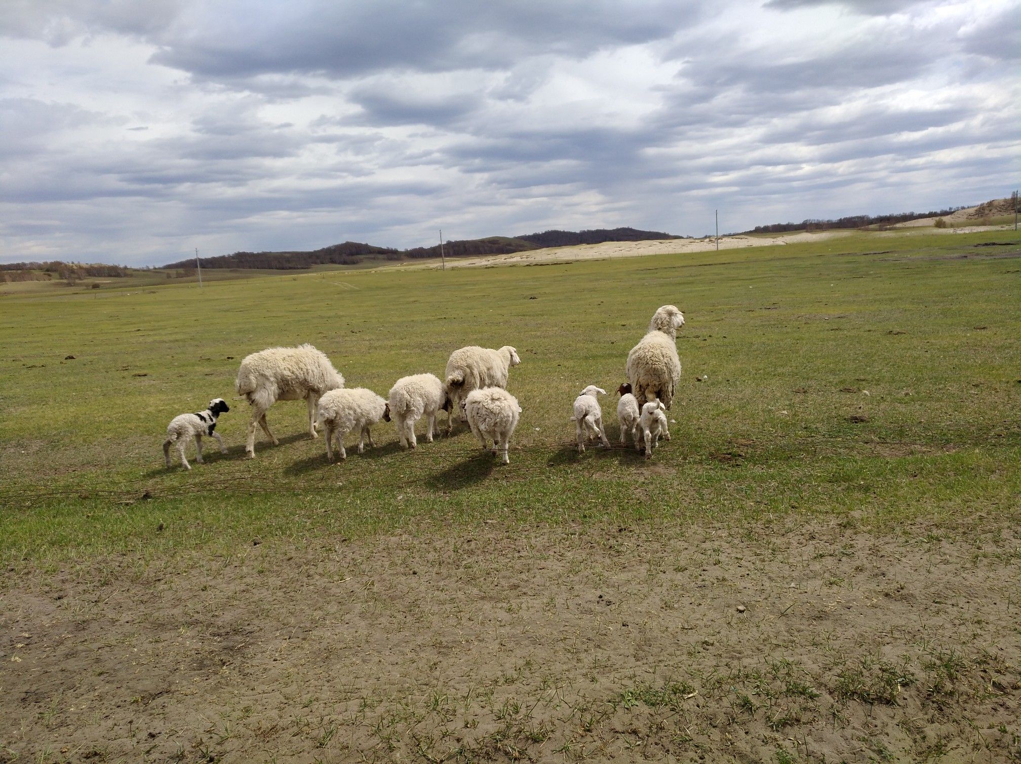 2017木蘭圍場美景不斷更新，手機拍攝。