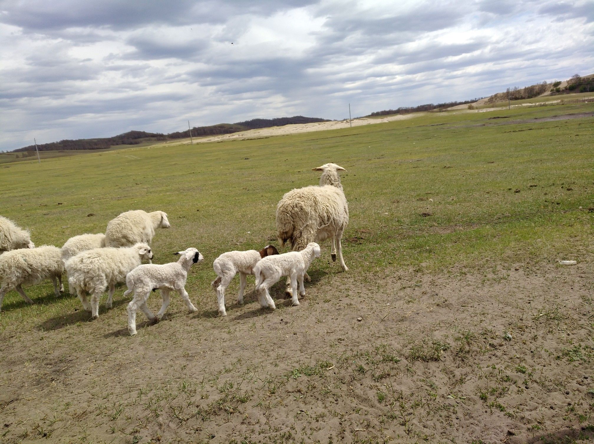 2017木蘭圍場美景不斷更新，手機拍攝。