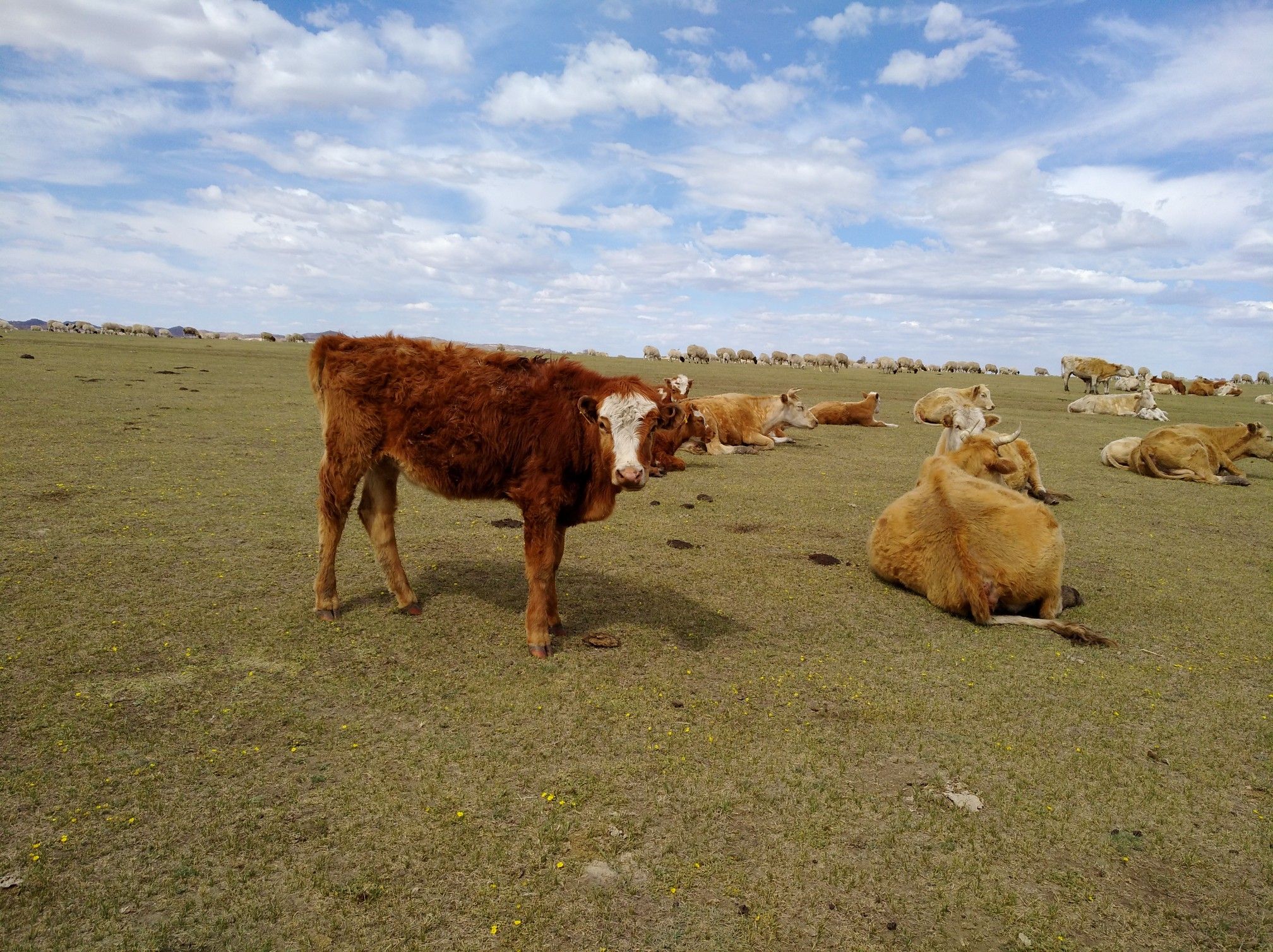 2017木蘭圍場美景不斷更新，手機拍攝。