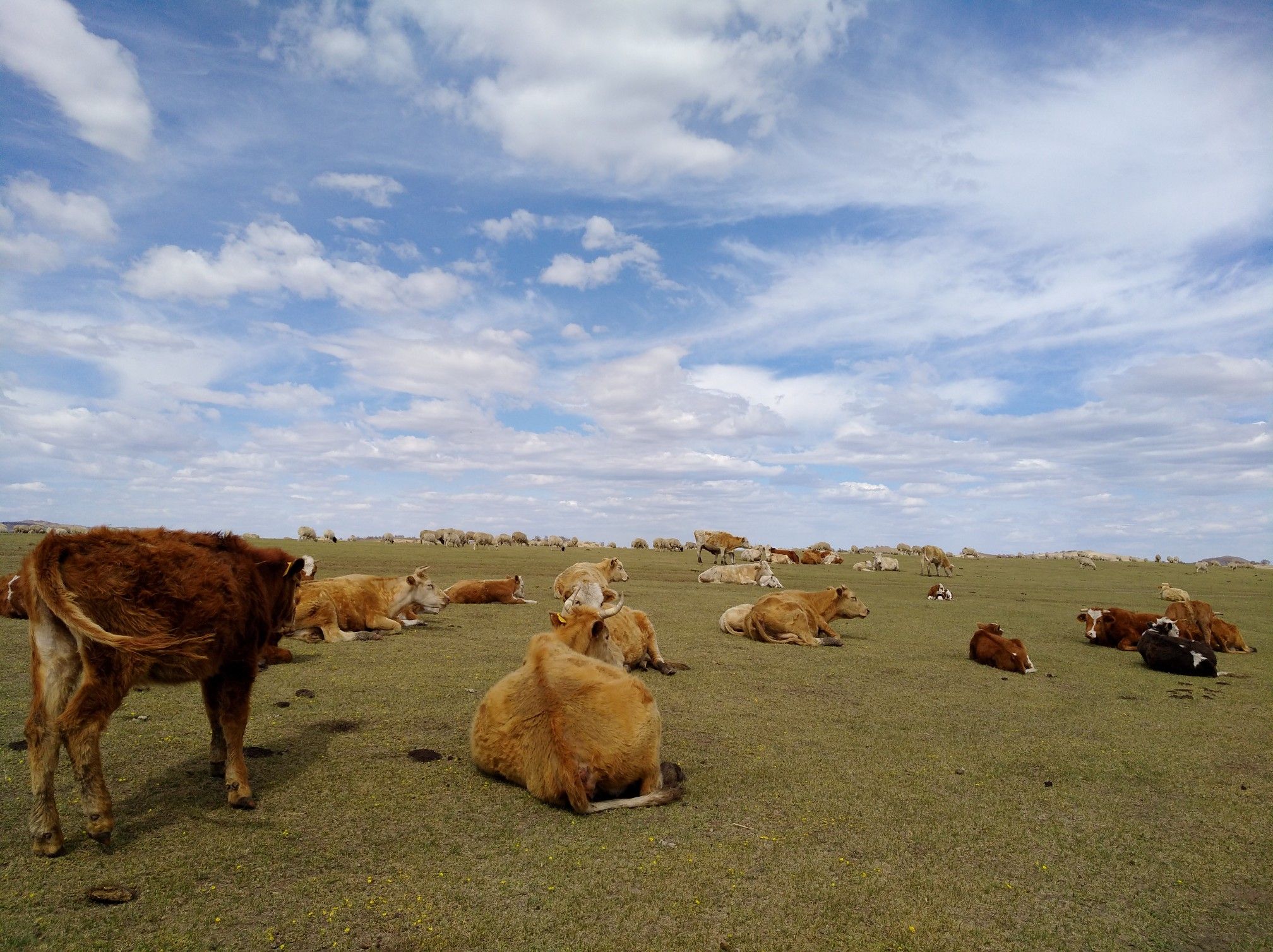 2017木蘭圍場美景不斷更新，手機拍攝。