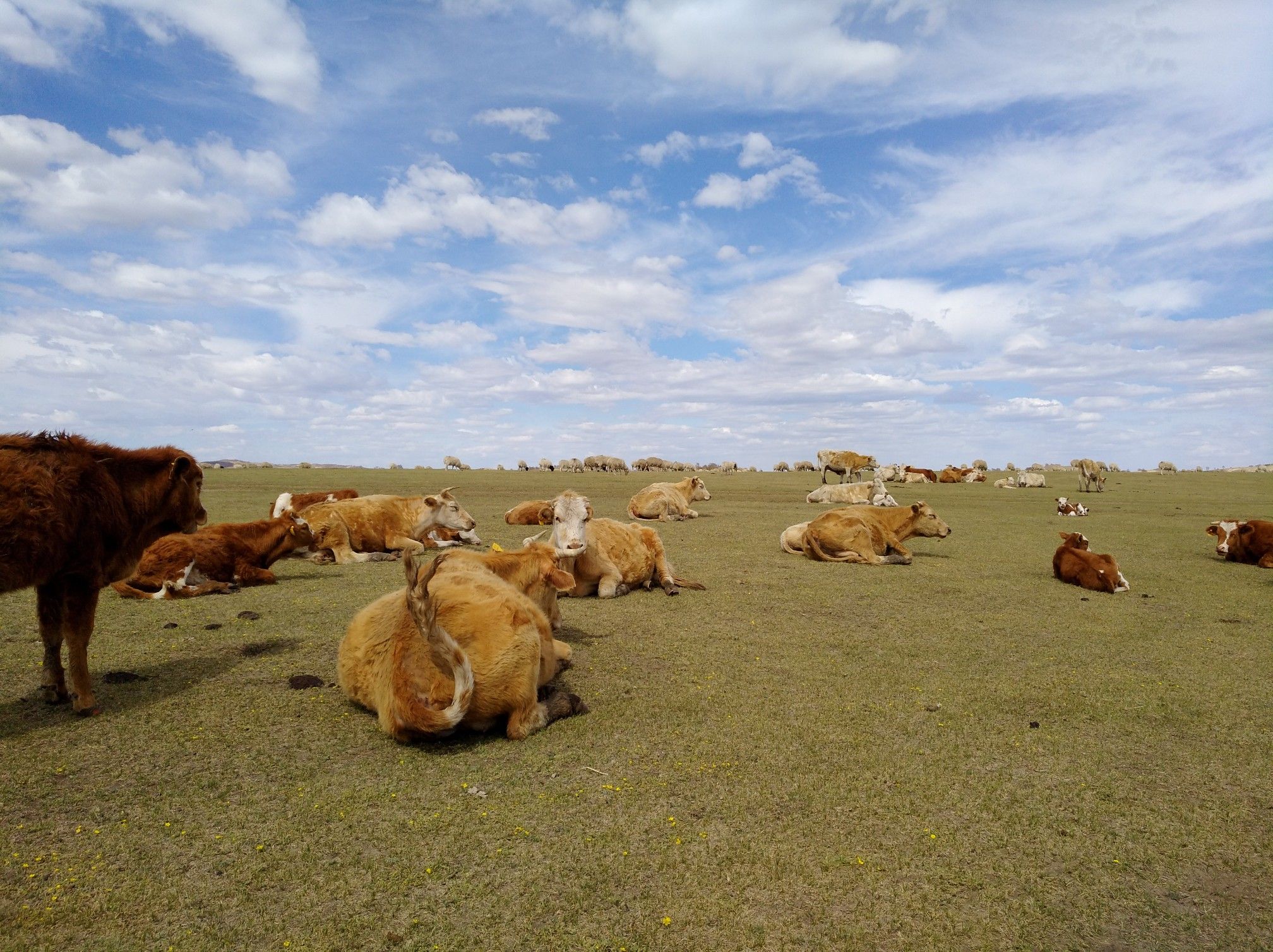 2017木蘭圍場美景不斷更新，手機拍攝。