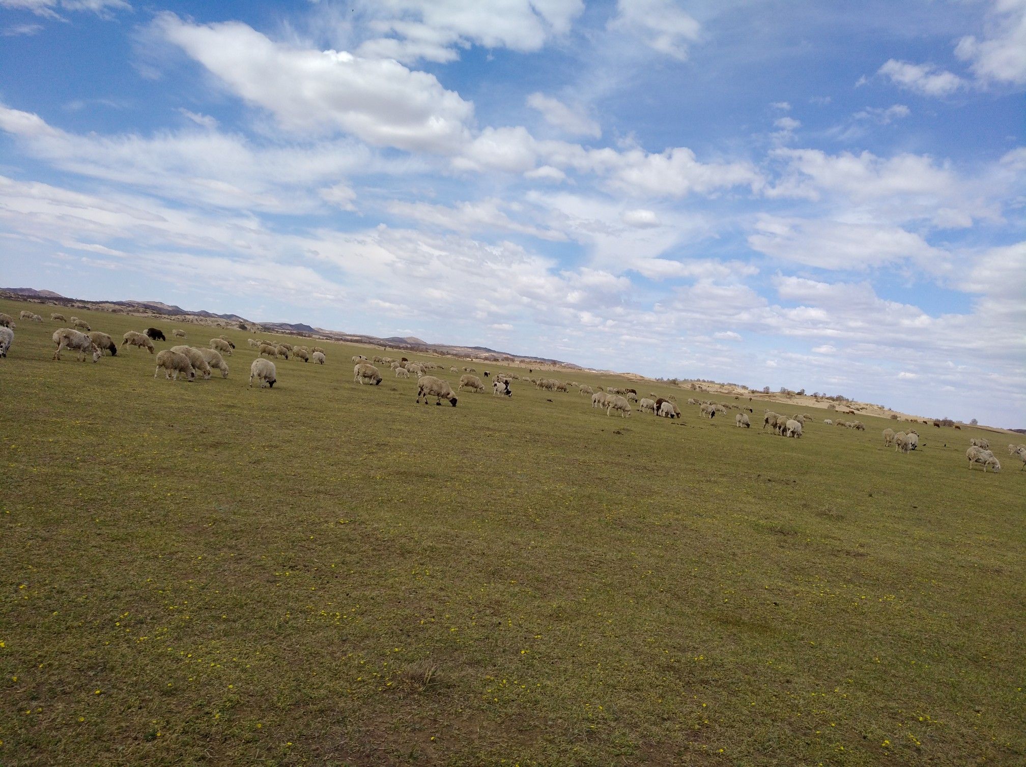 2017木蘭圍場美景不斷更新，手機拍攝。