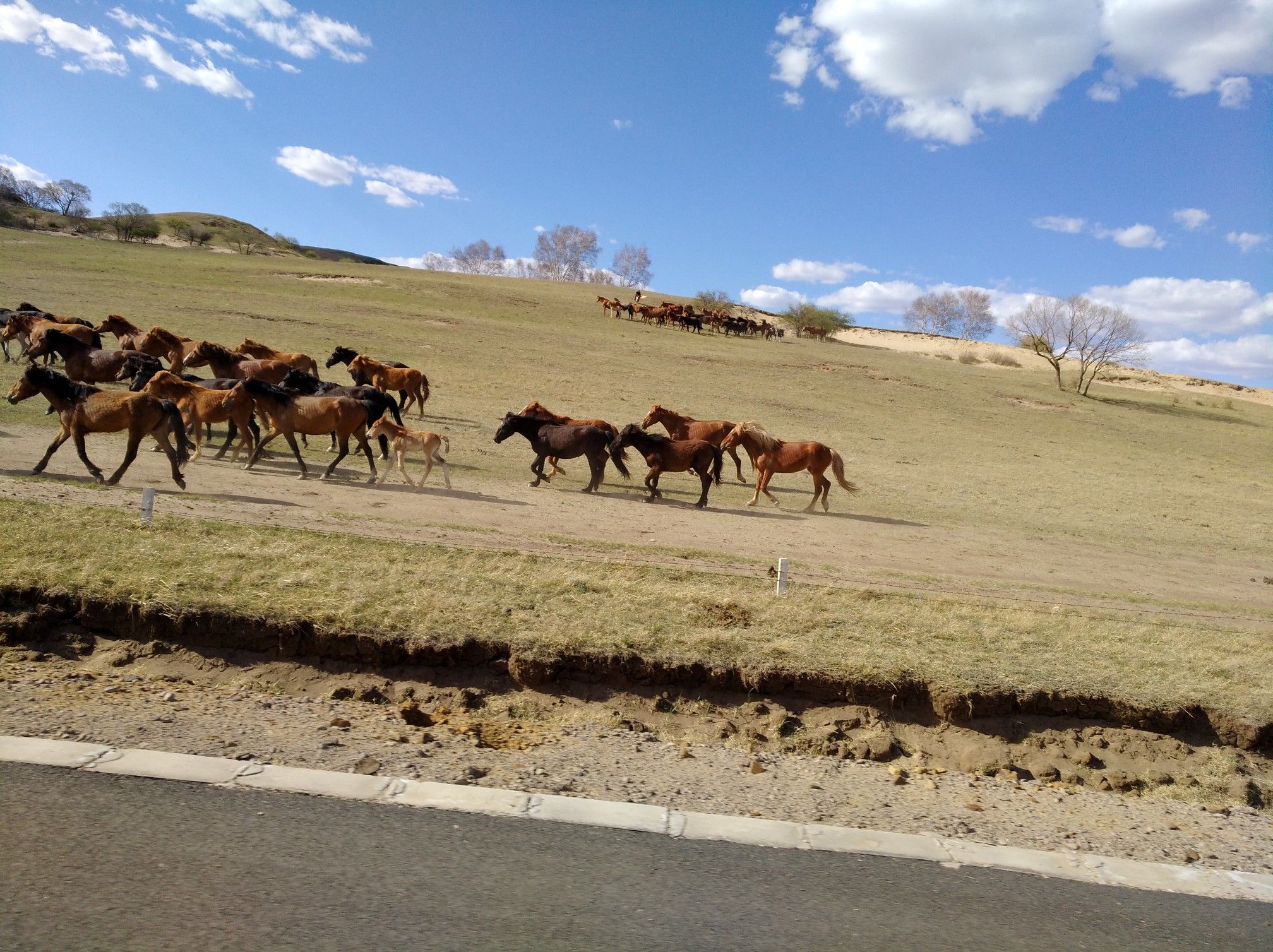 2017木蘭圍場美景不斷更新，手機拍攝。