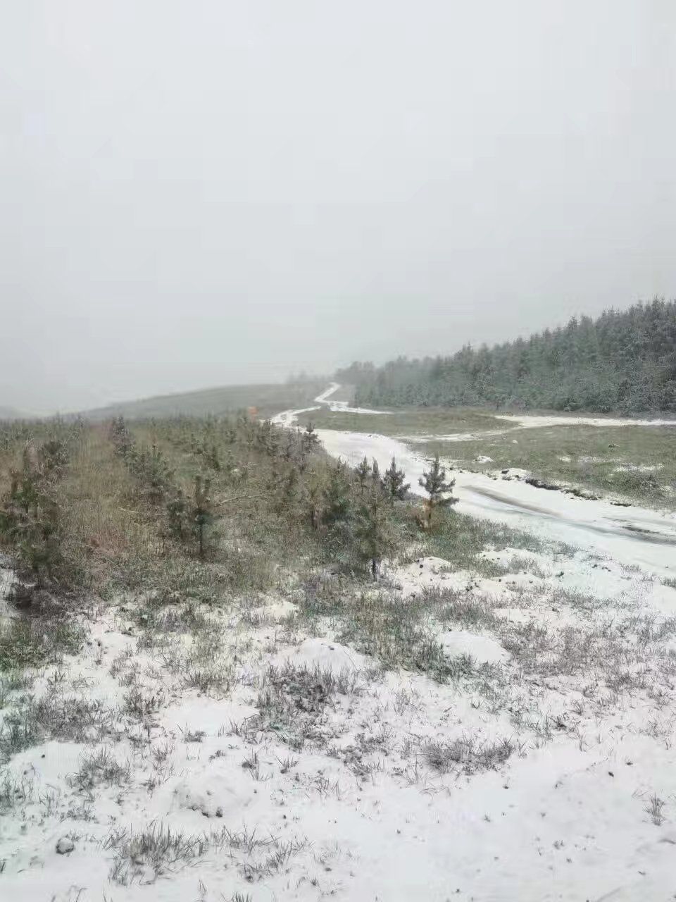 2017木蘭圍場美景不斷更新，手機拍攝。