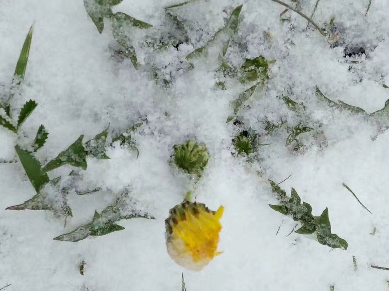 2017木蘭圍場美景不斷更新，手機拍攝。