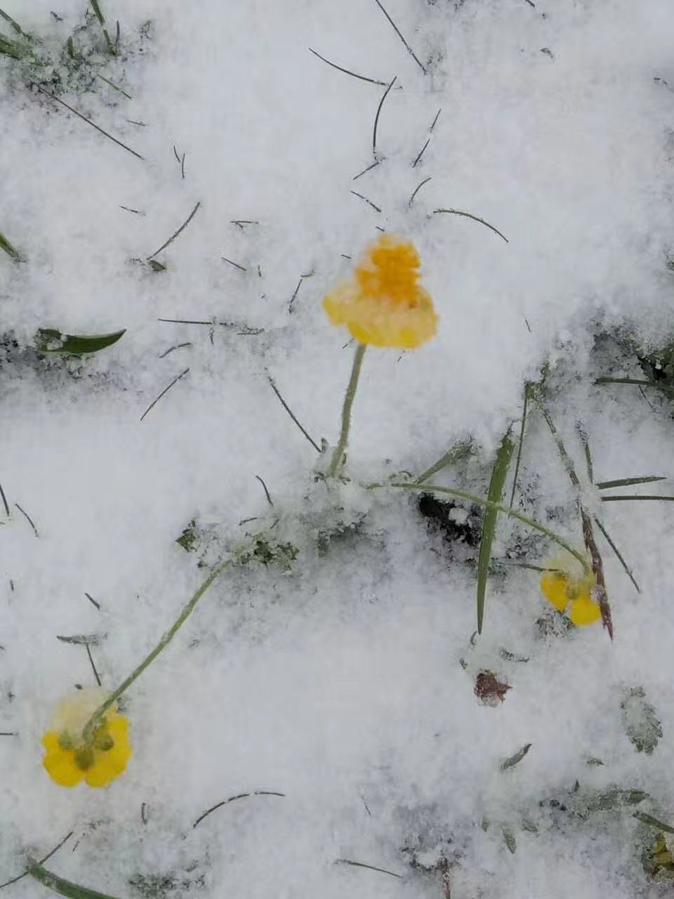 2017木蘭圍場美景不斷更新，手機拍攝。