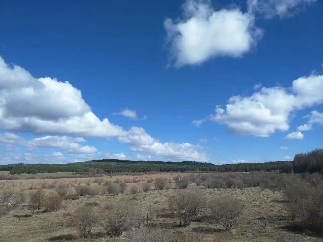 2017木蘭圍場美景不斷更新，手機拍攝。