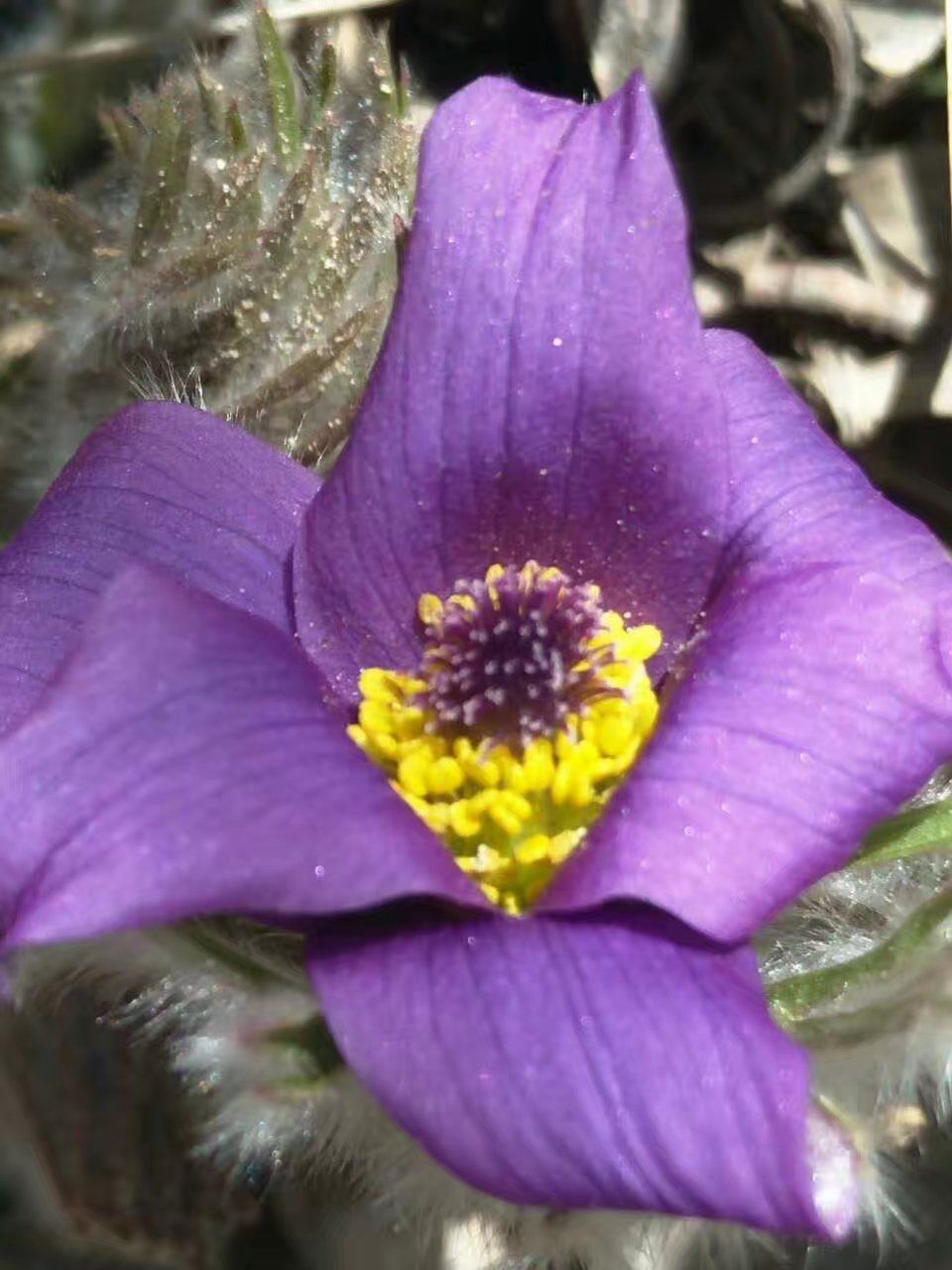 2017木蘭圍場美景不斷更新，手機拍攝。