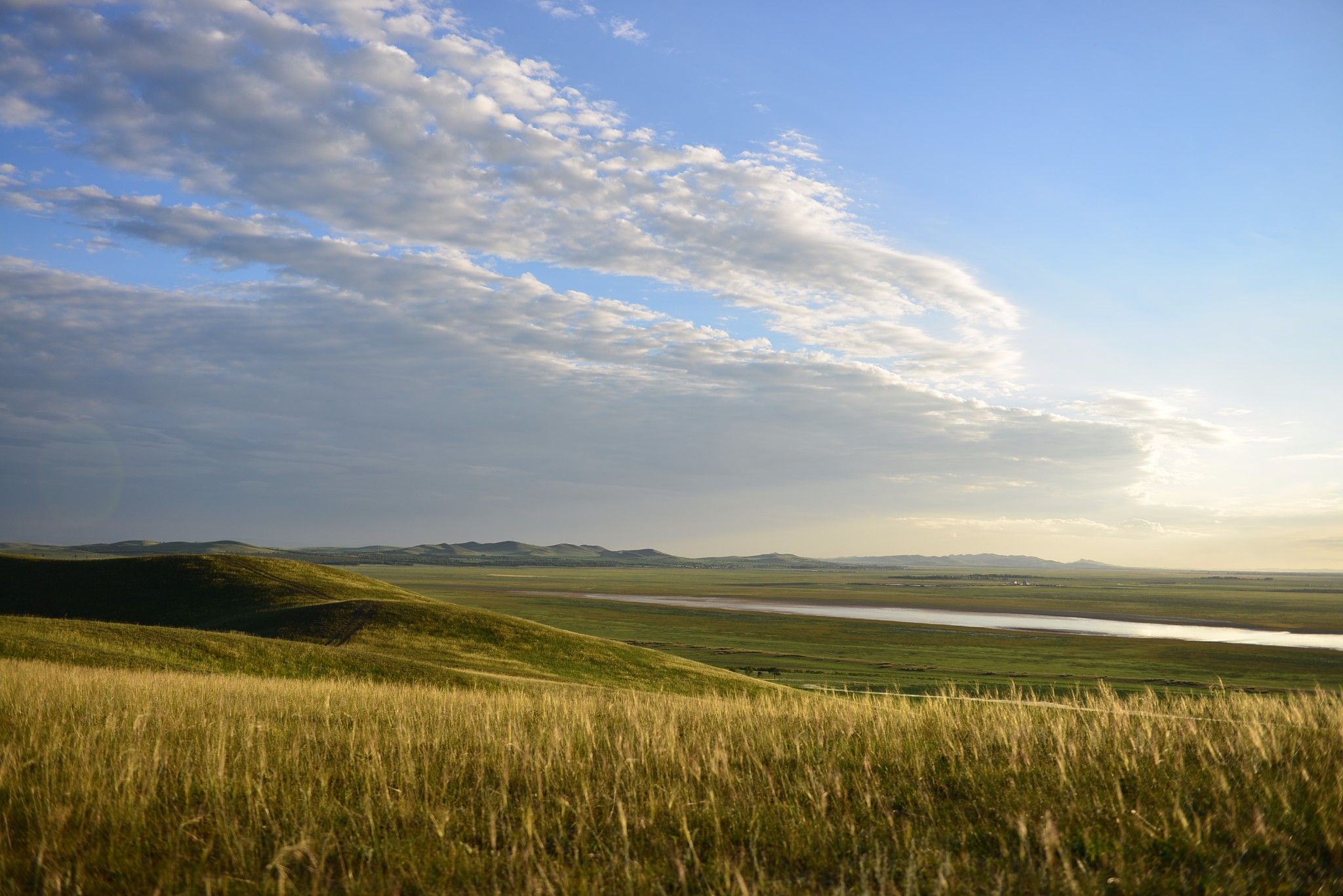 草原小分隊-第二季