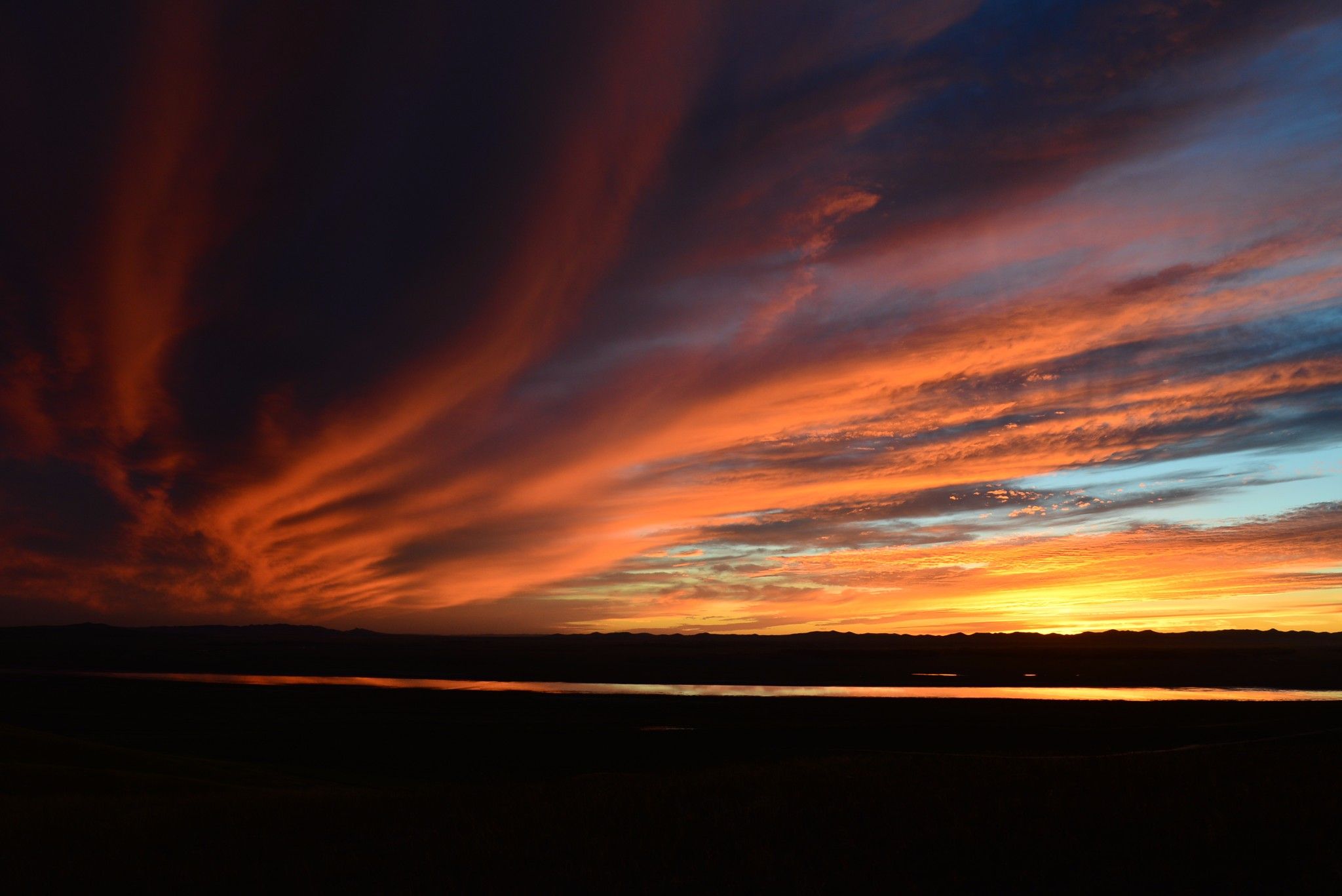 草原小分隊-第二季
