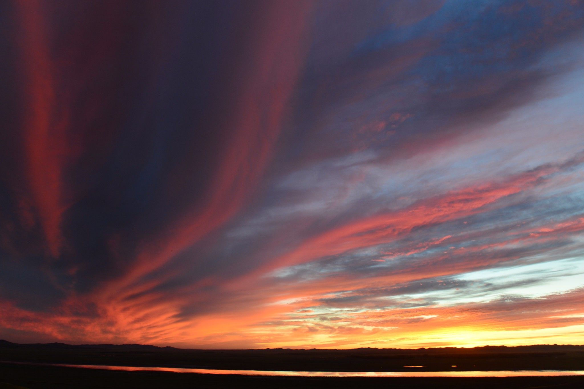 草原小分隊-第二季