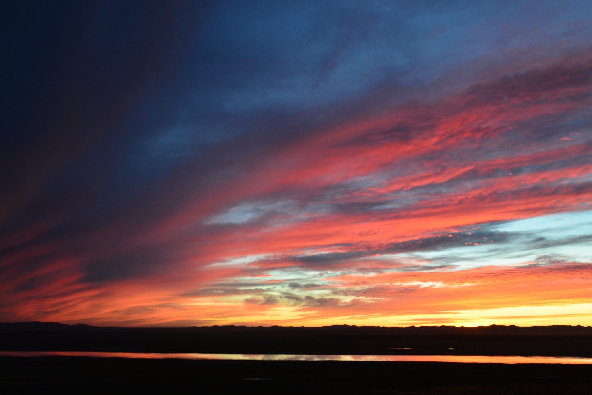 草原小分隊-第二季