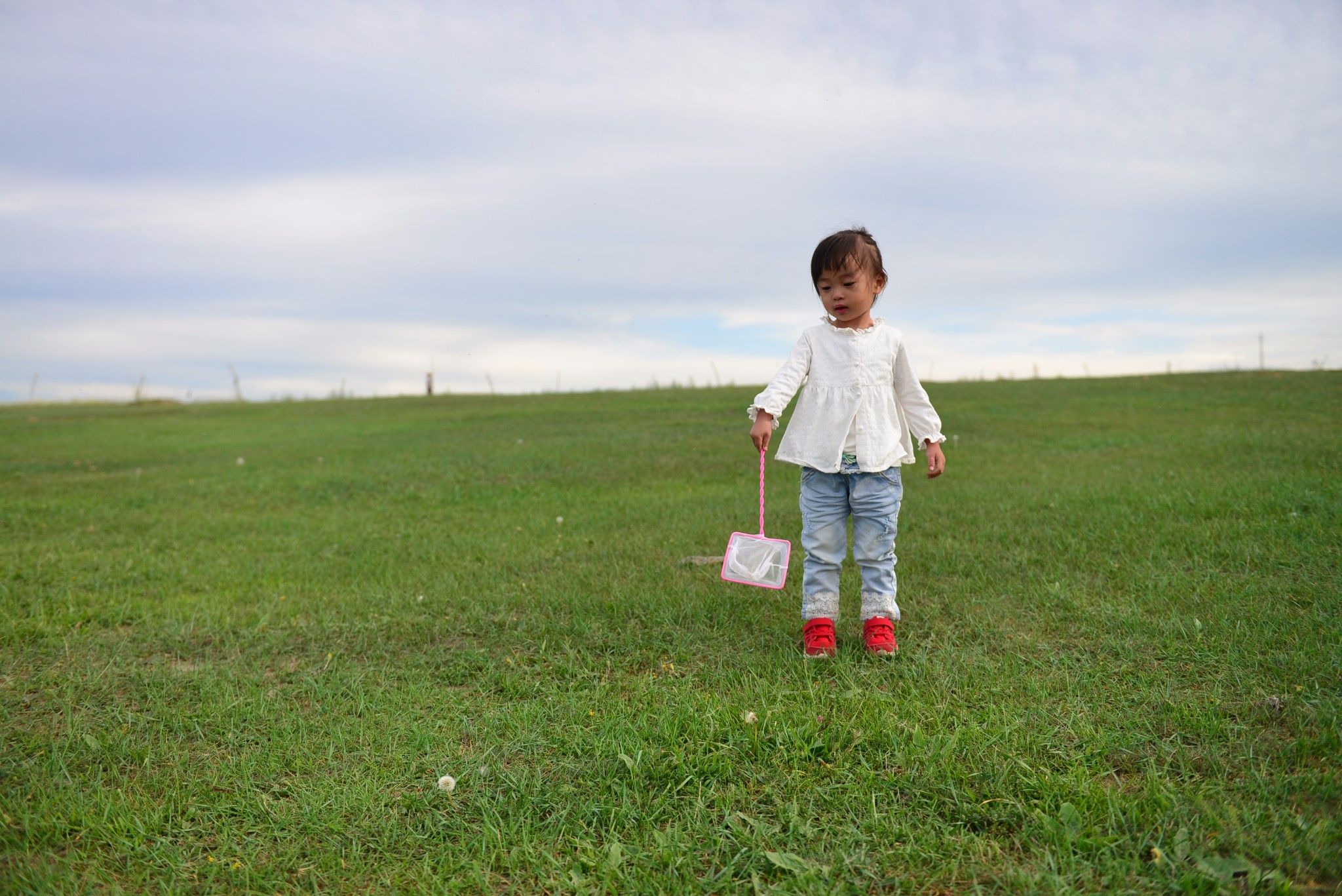 草原小分隊-第二季