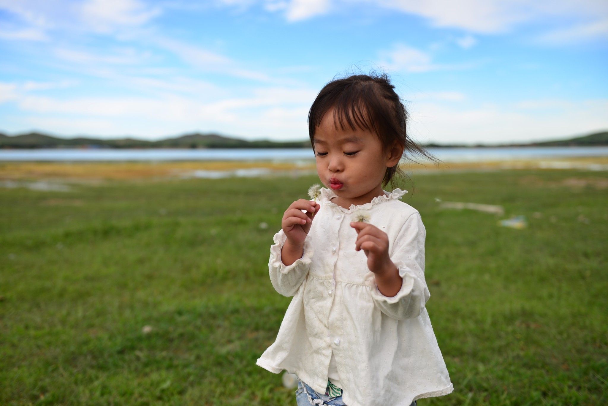 草原小分隊-第二季