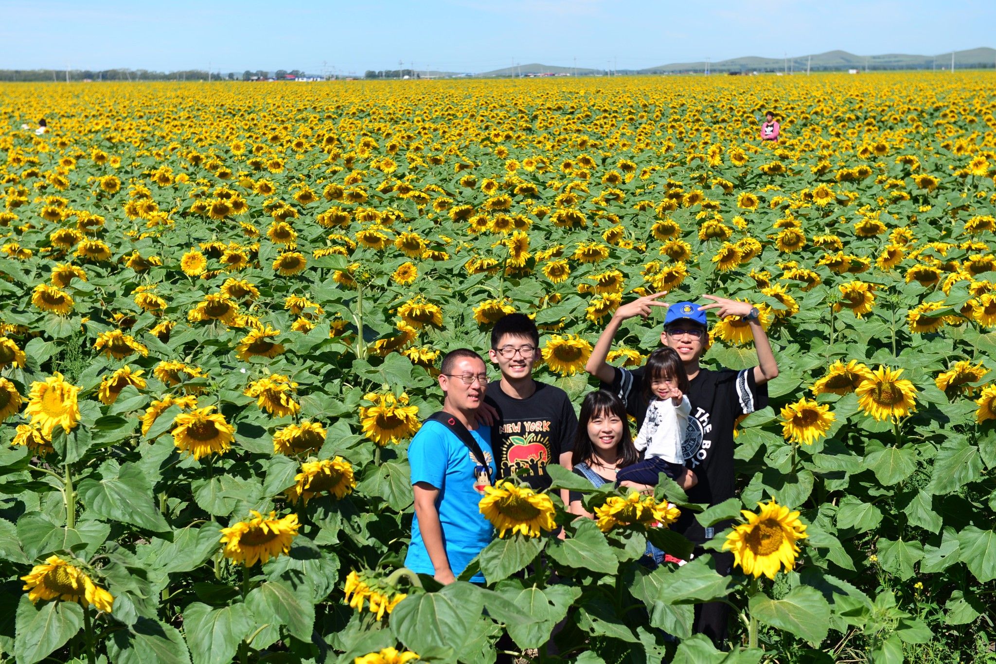 草原小分隊-第二季