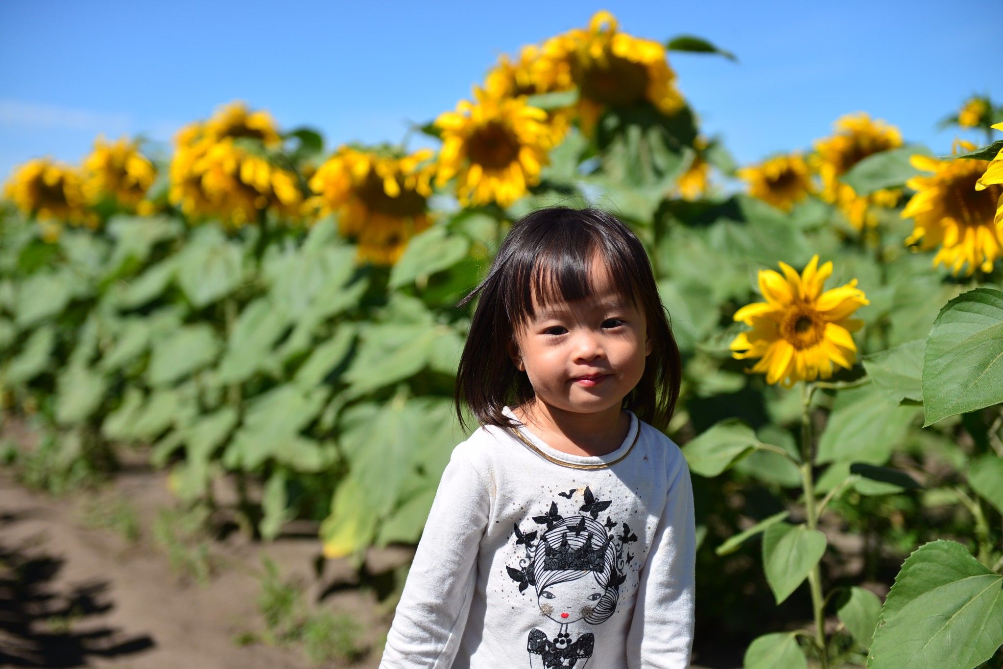 草原小分隊-第二季