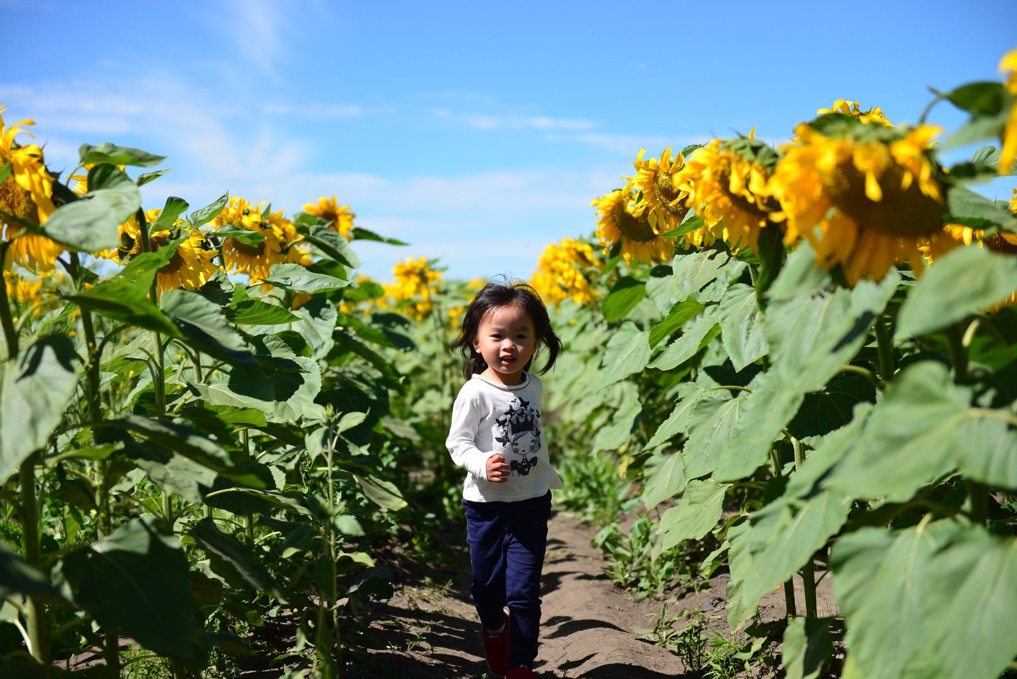 草原小分隊-第二季