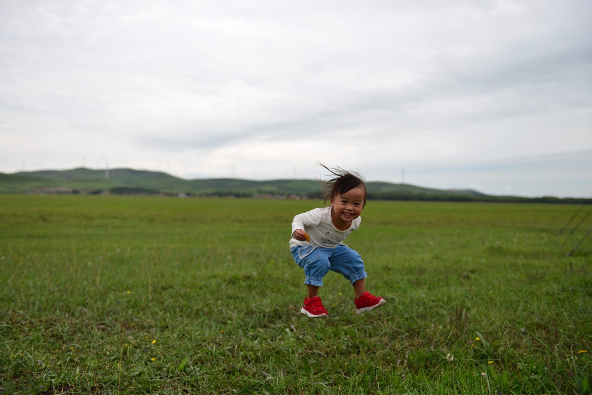 草原小分隊-第二季