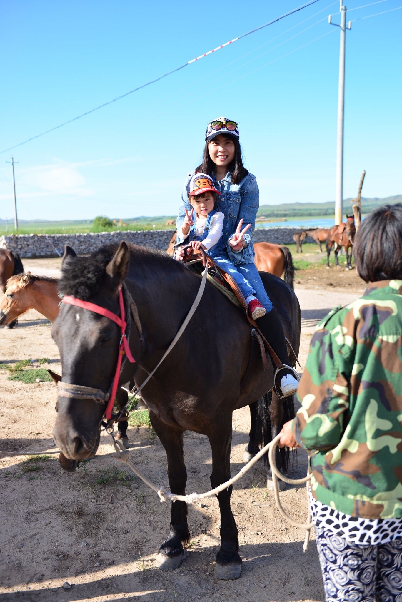 草原小分隊-第二季