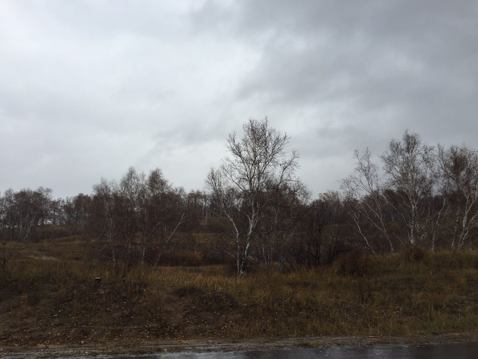 圓夢(mèng)之旅-沽源