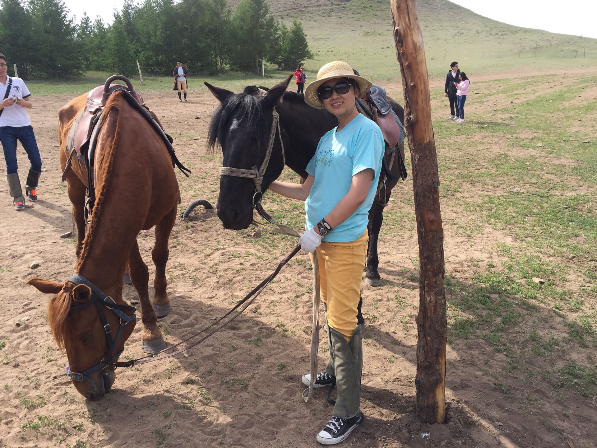 端午節(jié)的壩上草原