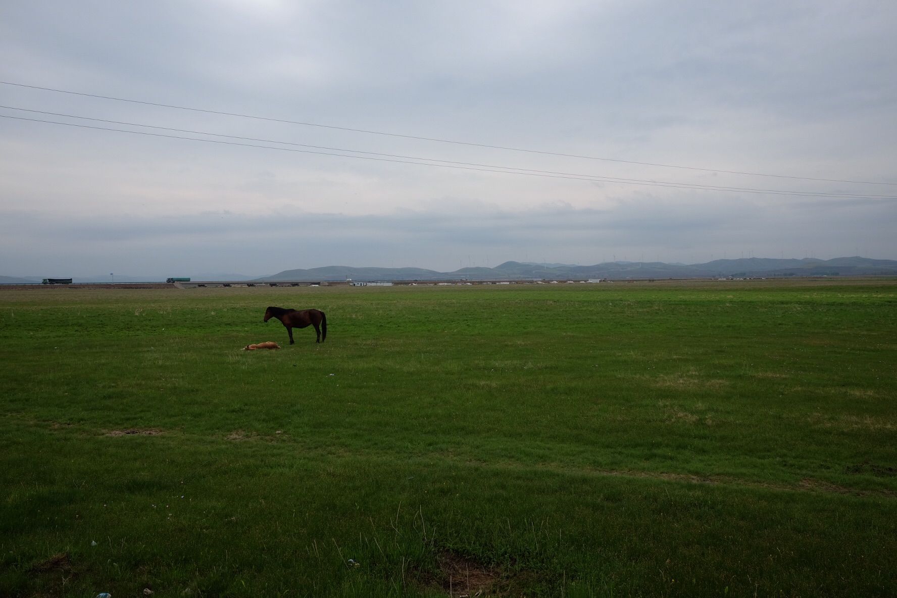 端午節(jié)的壩上草原