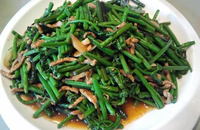 塞北的壩上草原