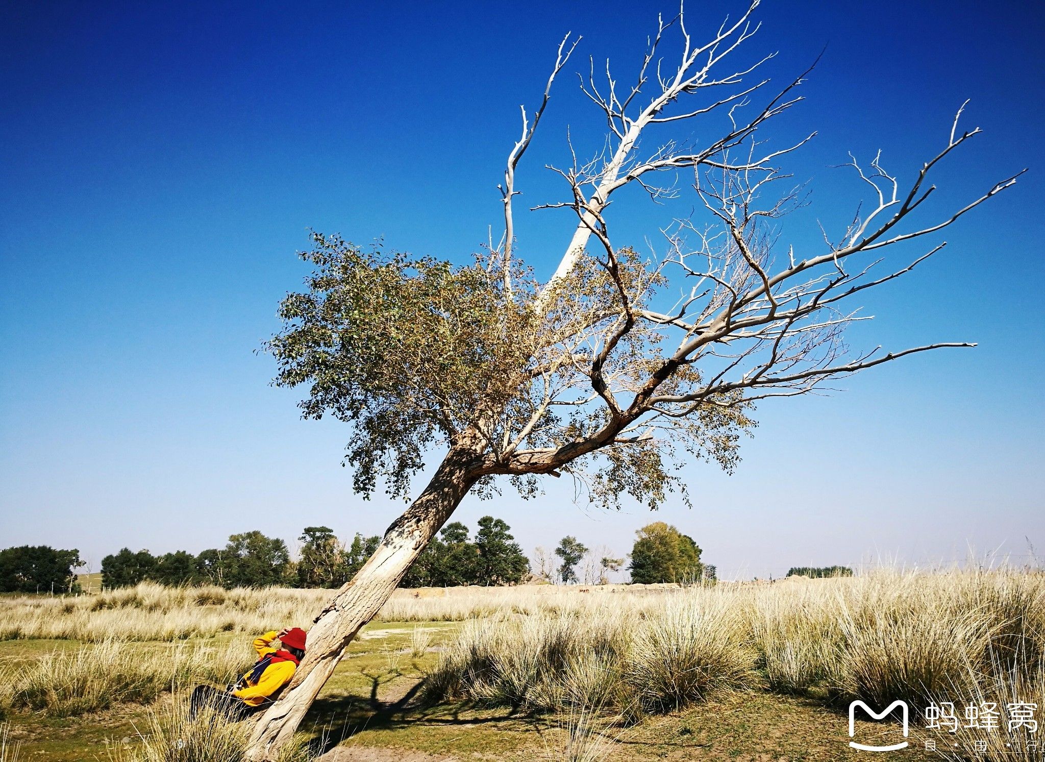 內蒙古旅游攻略 