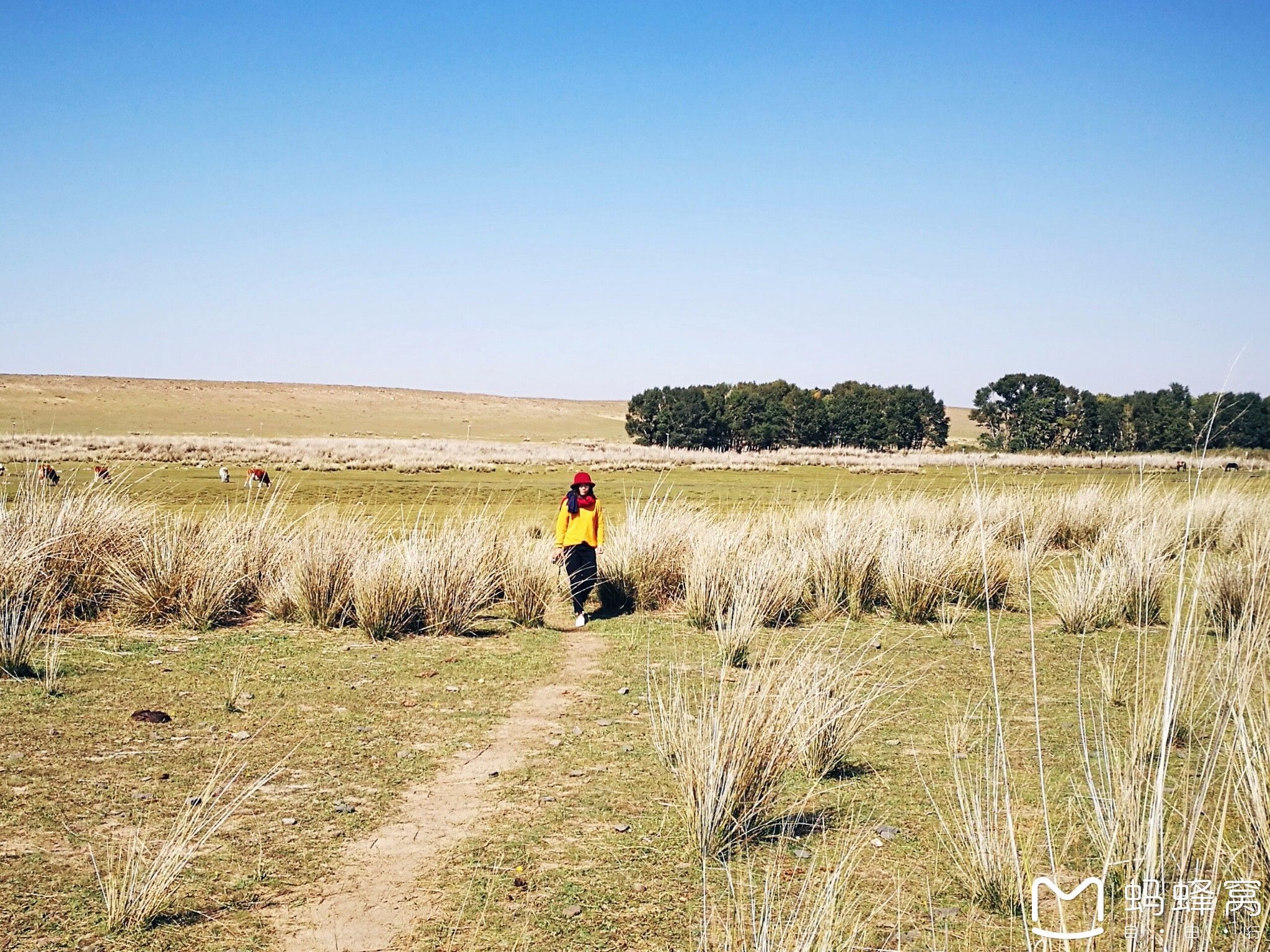 內蒙古旅游攻略 