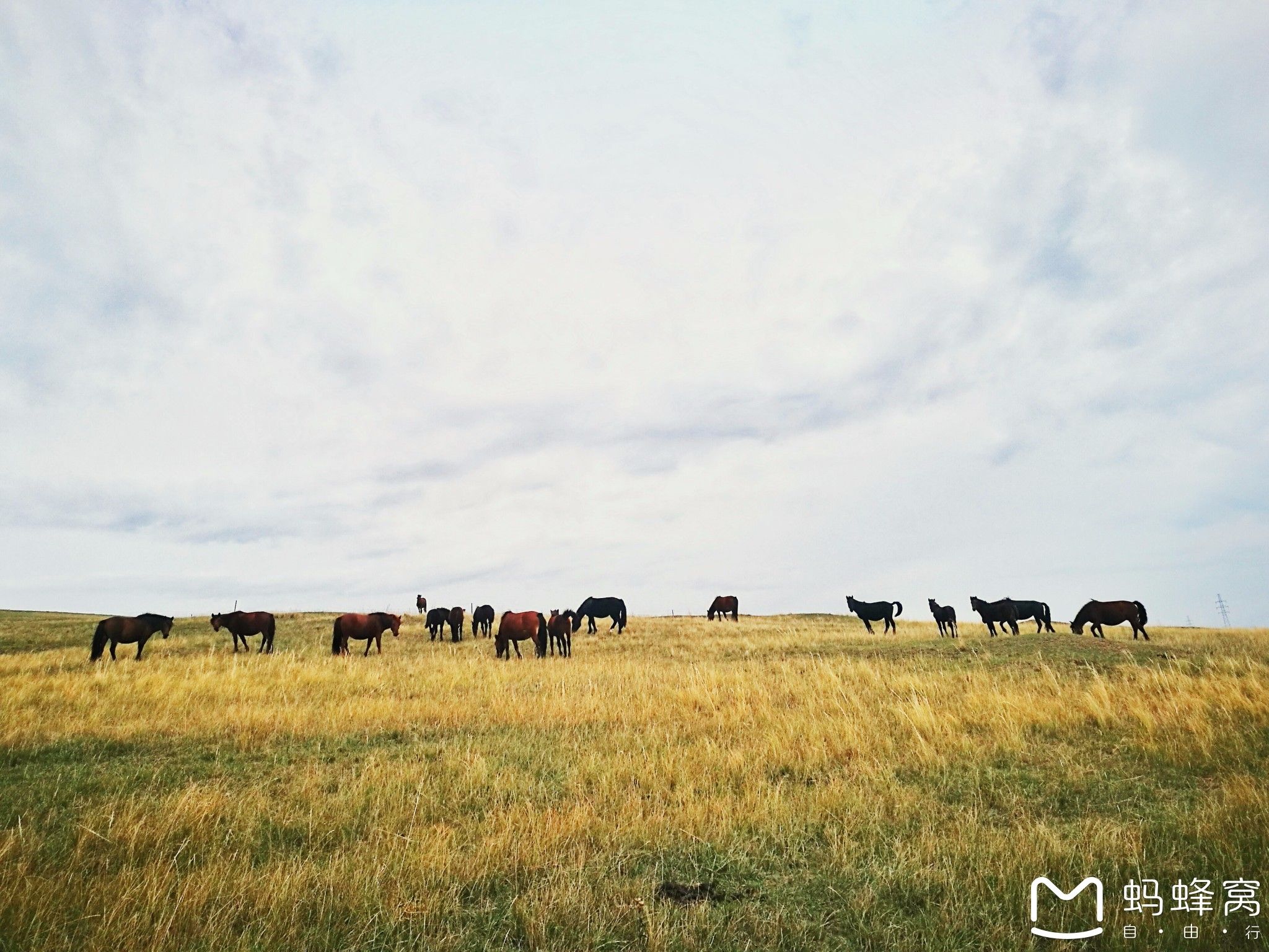 內蒙古旅游攻略 
