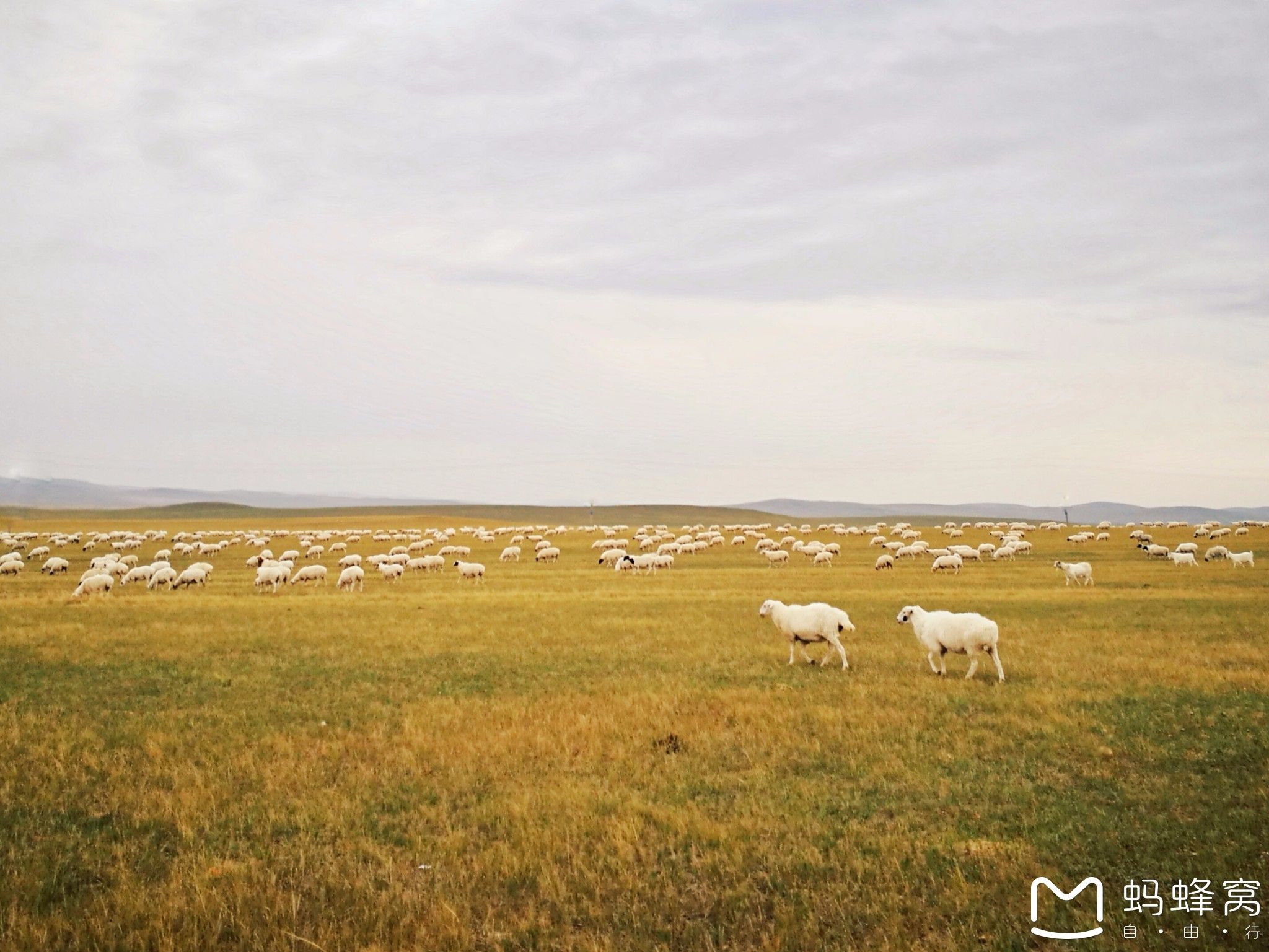 內蒙古旅游攻略 