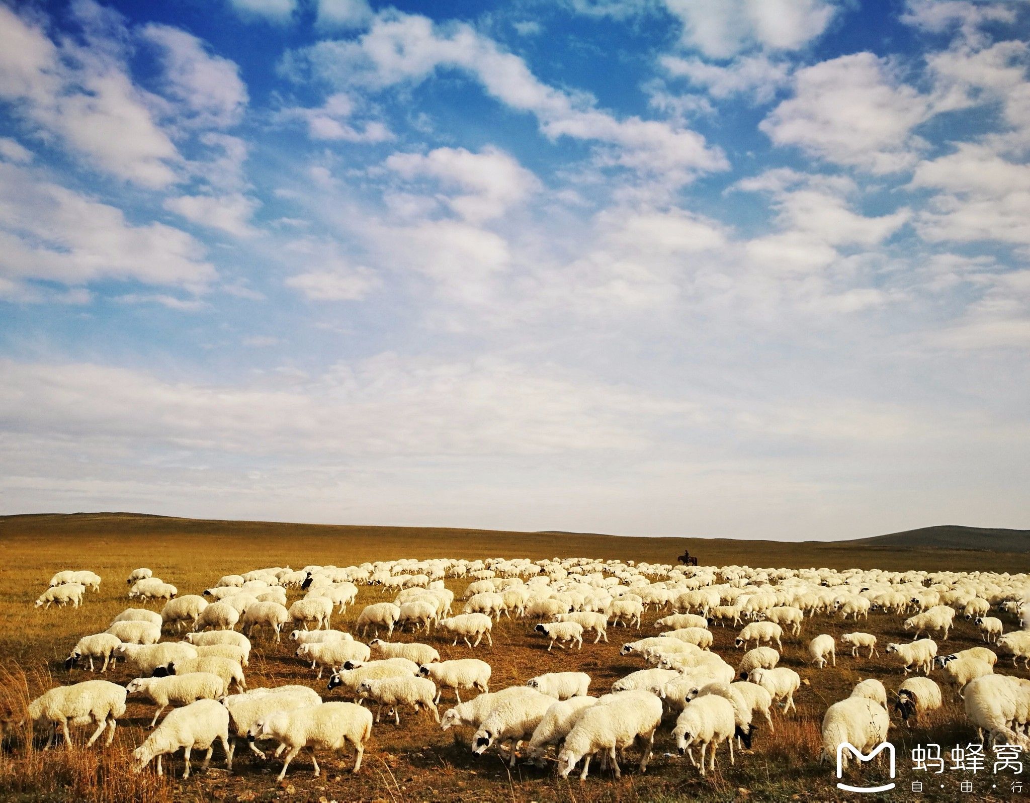 內蒙古旅游攻略 