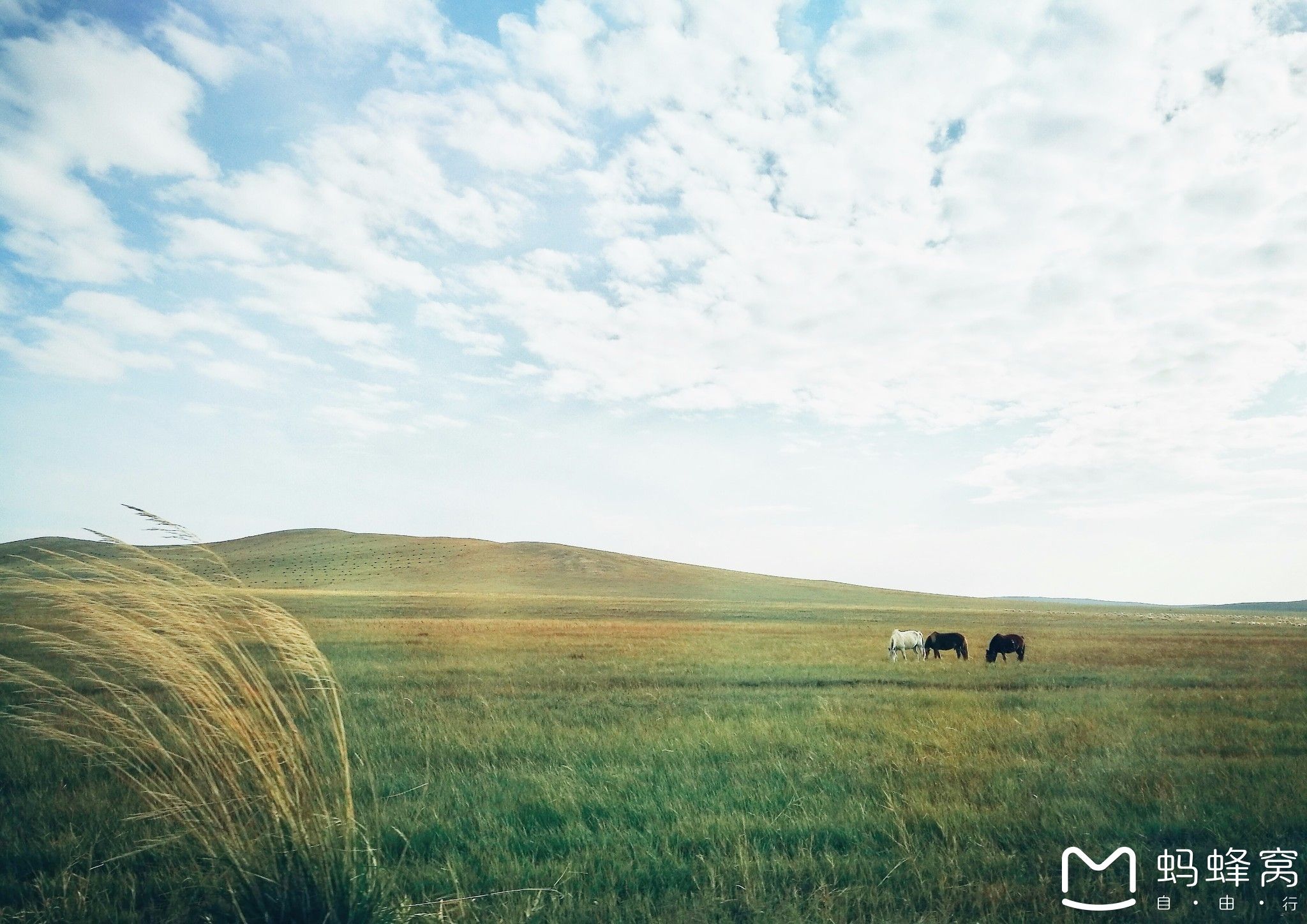 內蒙古旅游攻略 