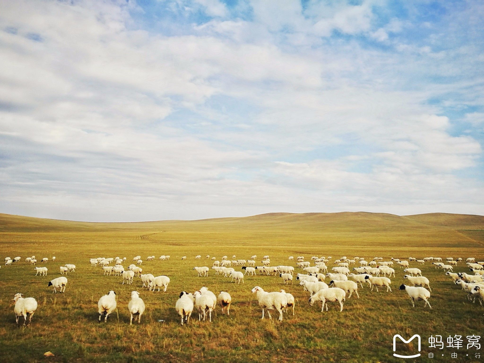 內蒙古旅游攻略 