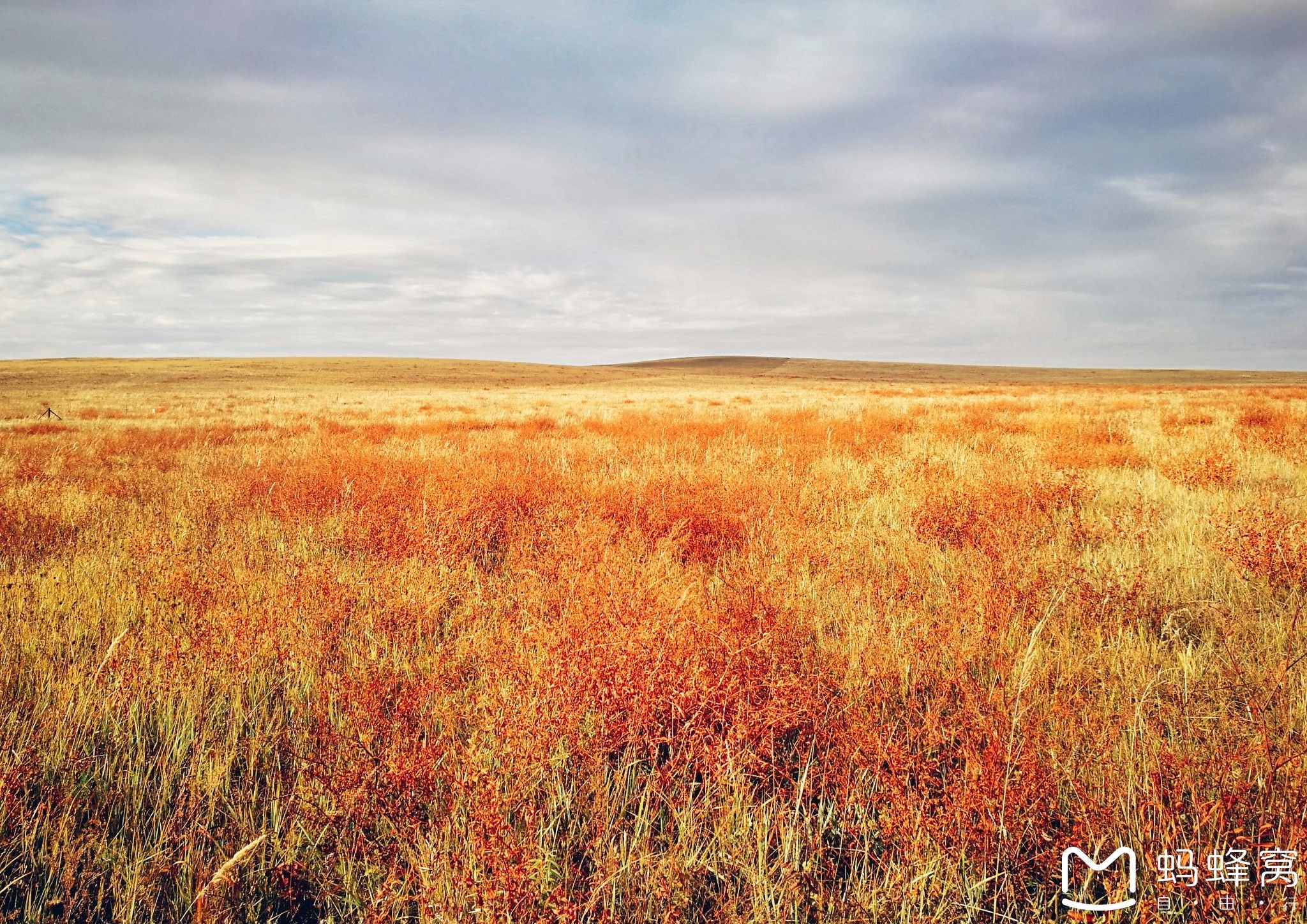 內蒙古旅游攻略 